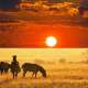 Kruger National Park (South Africa)
