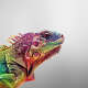 Iguana