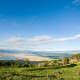 Ngorongoro Crater