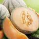 Melons