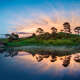 Waikato (New Zealand)