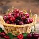 Cherries