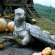 Buckbeak