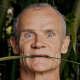 Flea (Red Hot Chili Peppers)