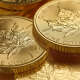 Gold Coins