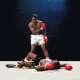 Combat Sports