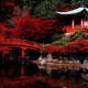 Kyoto