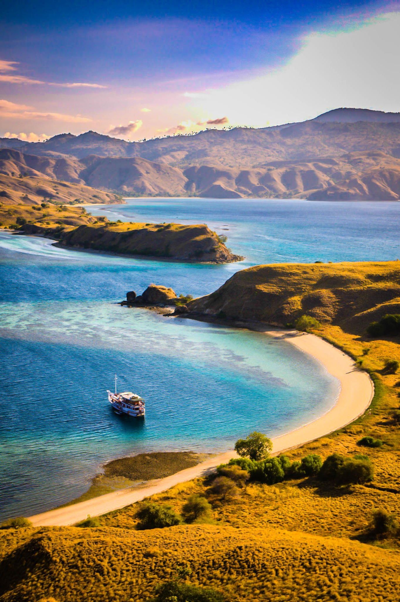 Komodo Island, Ideas, Komodo dragon, Adventure, 1370x2050 HD Phone
