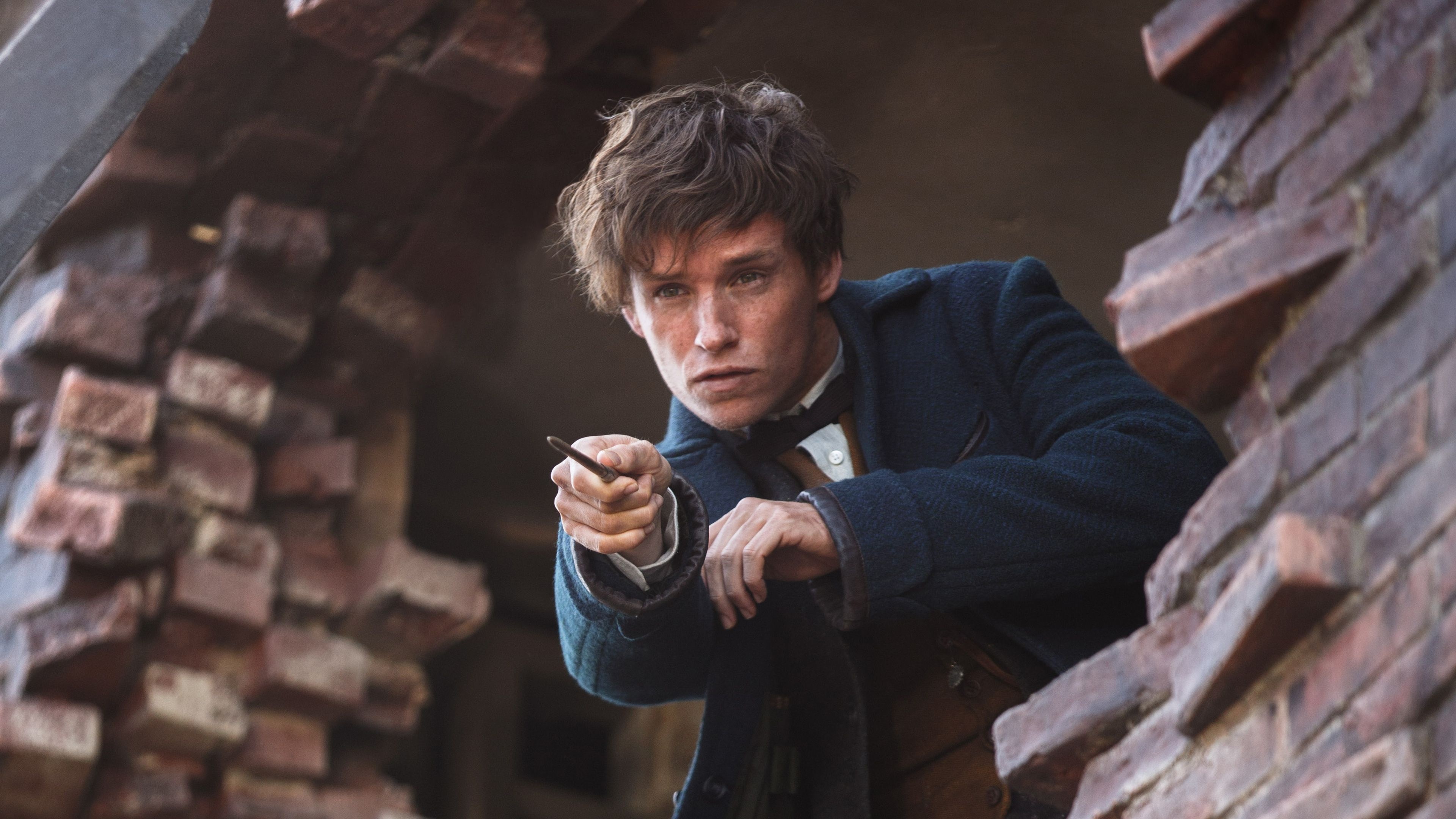 Fantastic Beasts, Eddie Redmayne, Top backgrounds, Wallpaper, 3840x2160 4K Desktop