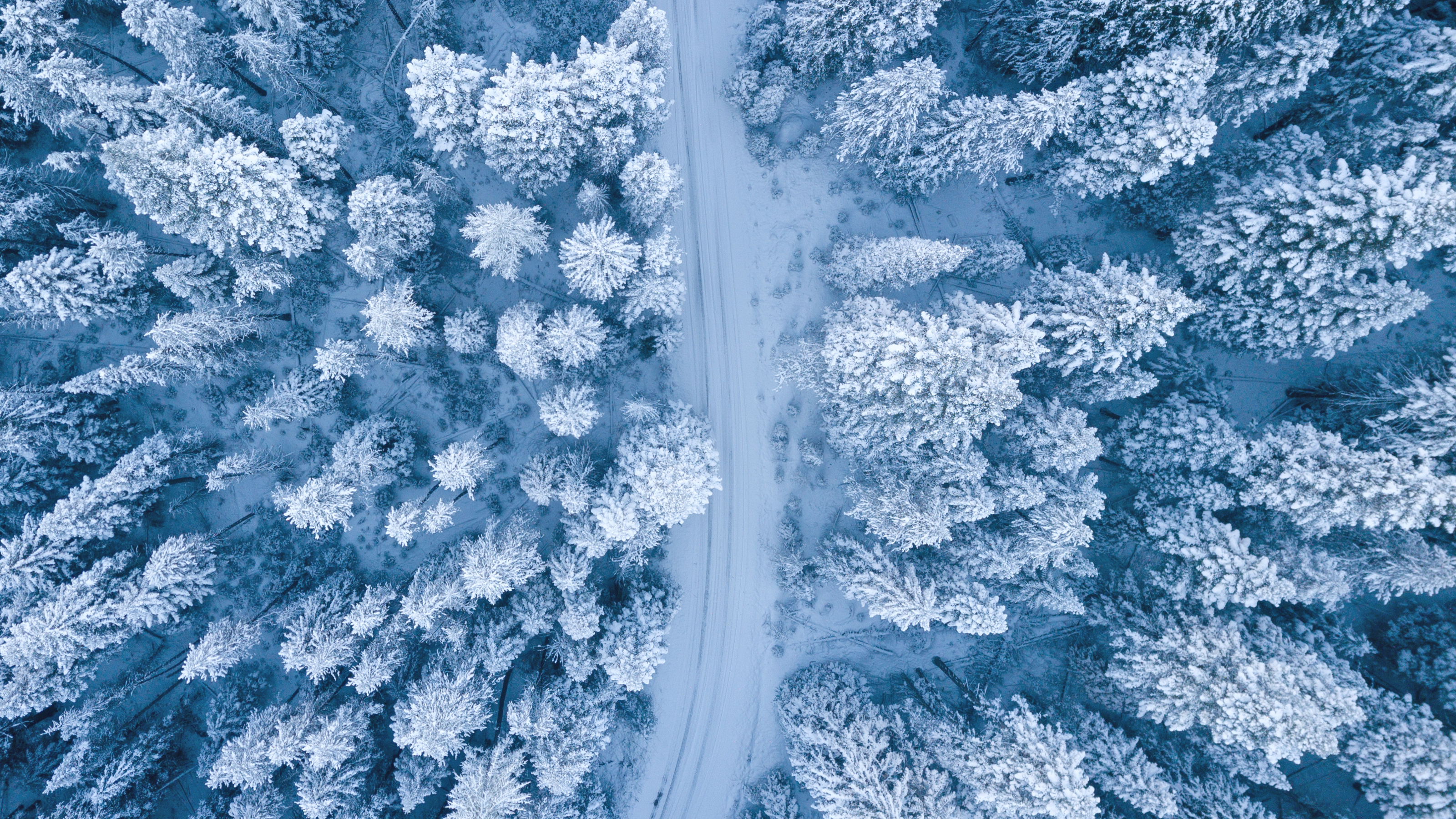 Snow, Winter pictures, Pexels stock photos, 3200x1800 HD Desktop