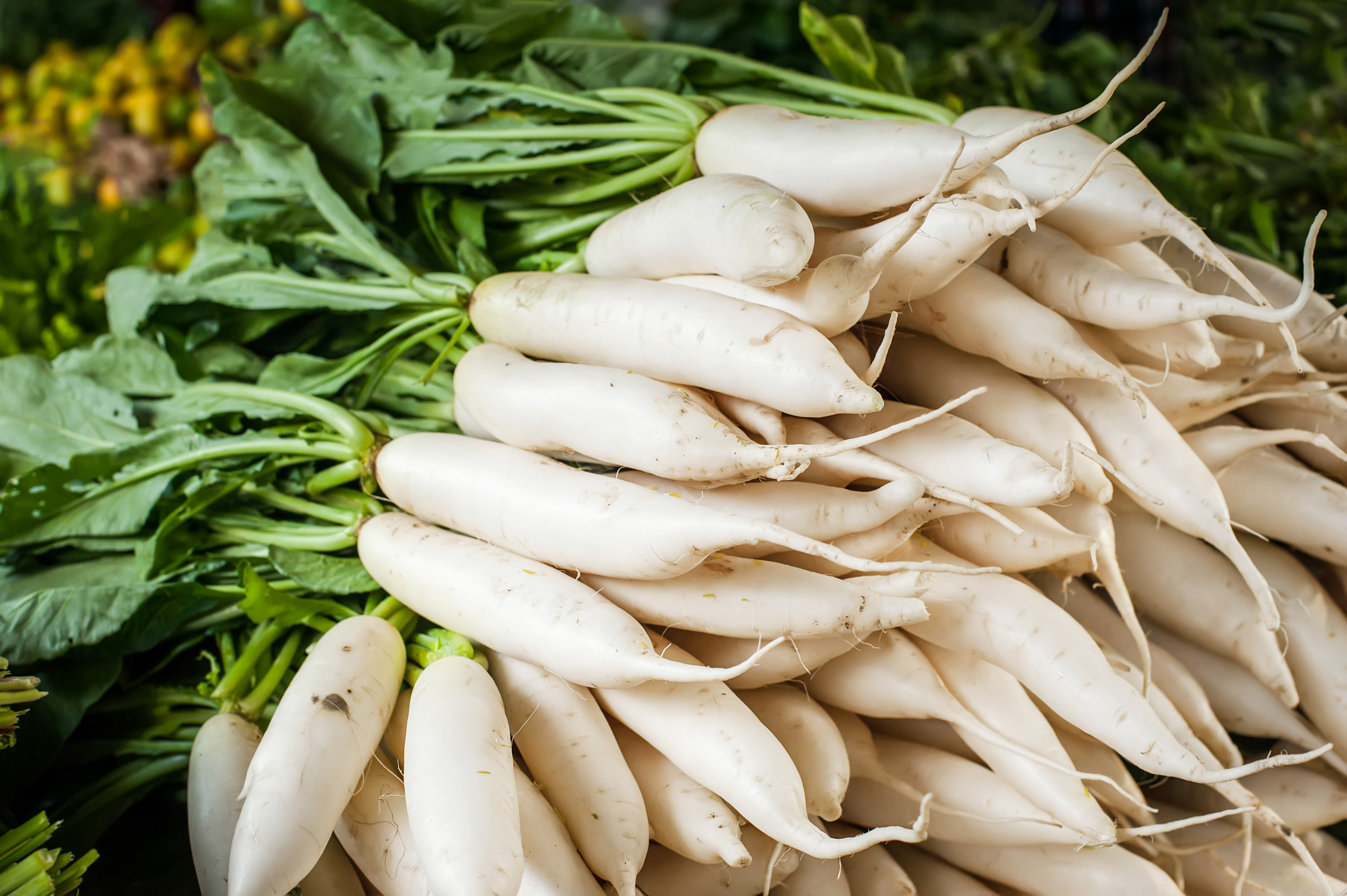 Daikon radish, Food, 3000x2000 HD Desktop