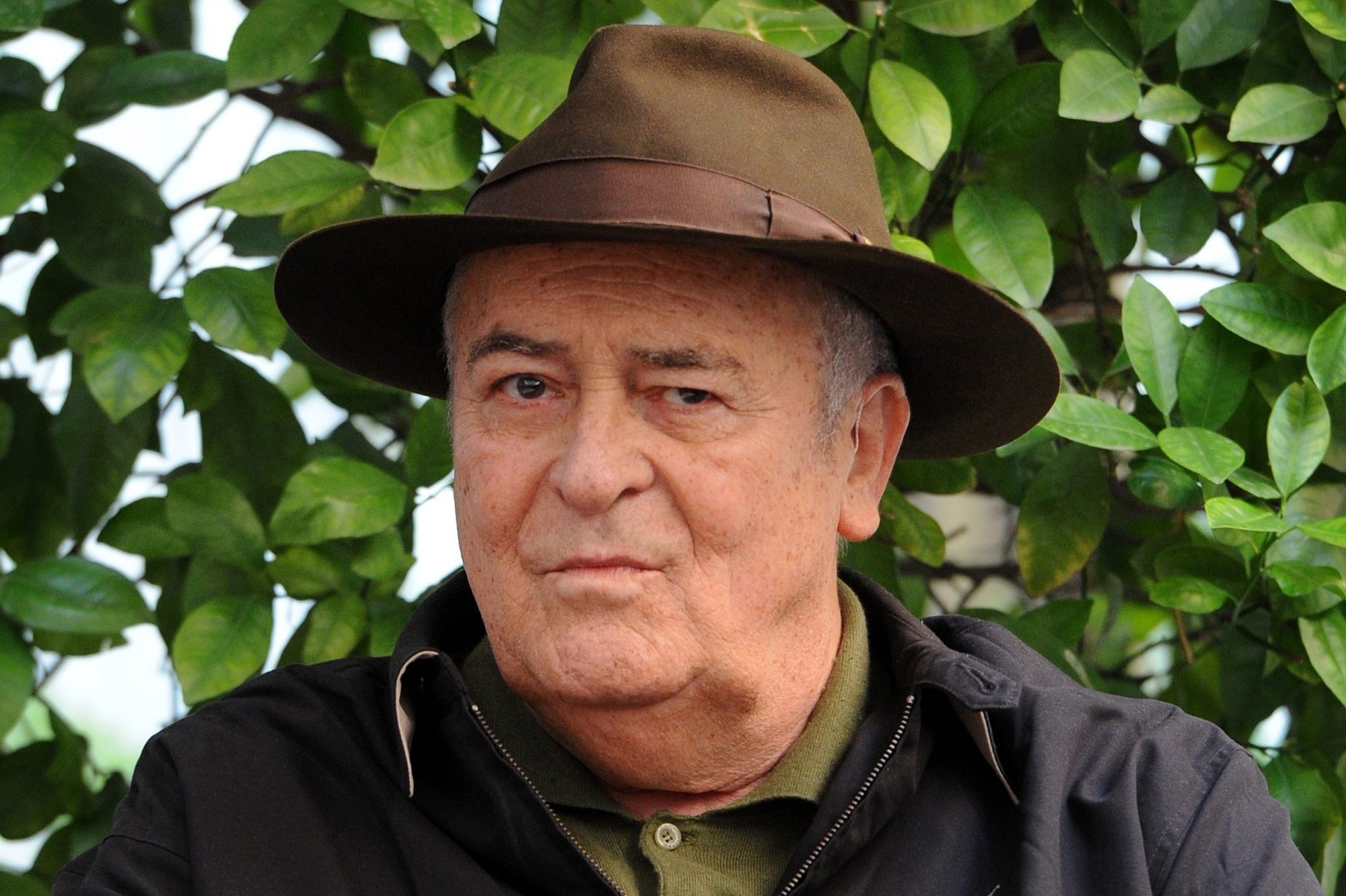 Bernardo Bertolucci, Last Emperor, Filmmaker, Dies, 2000x1340 HD Desktop