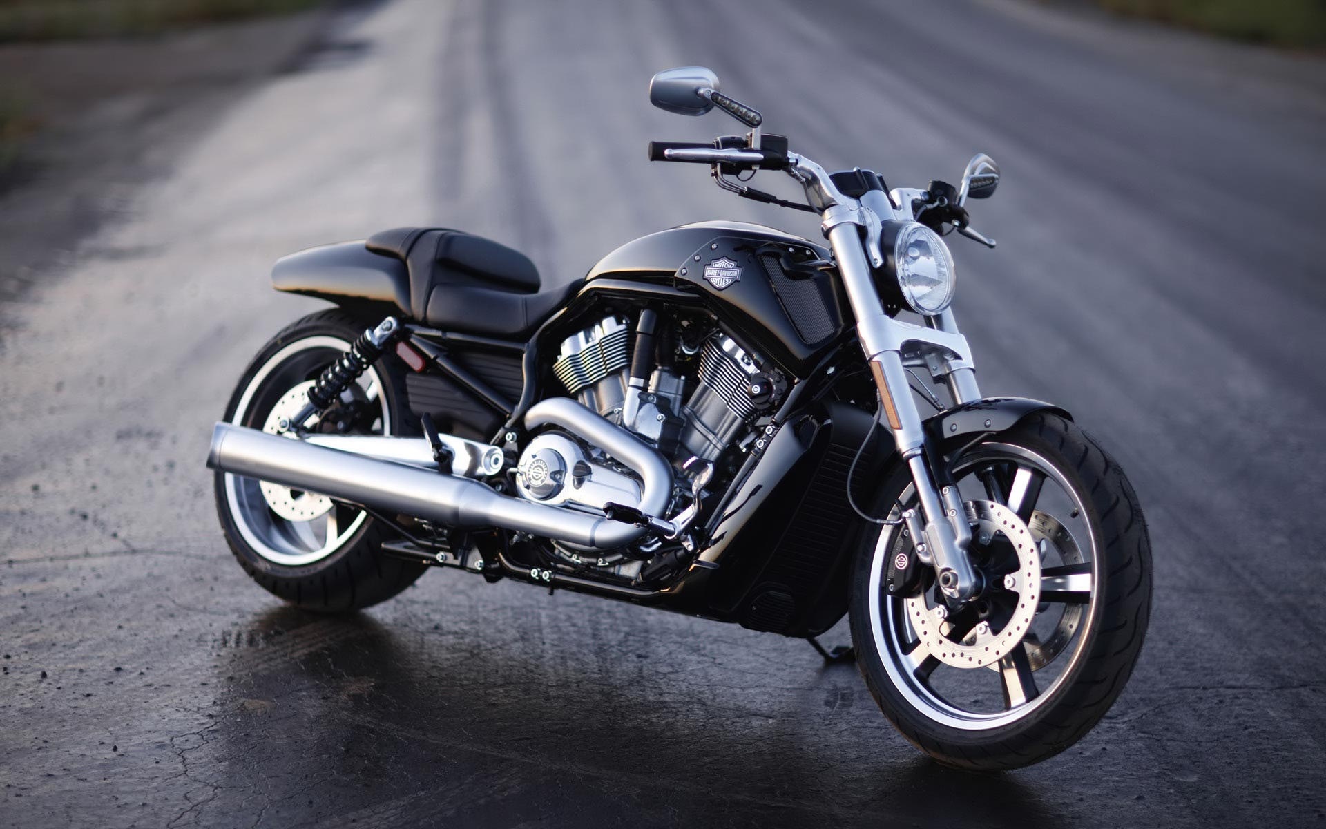 V-Rod Muscle, Harley Bikes Wallpaper, 1920x1200 HD Desktop