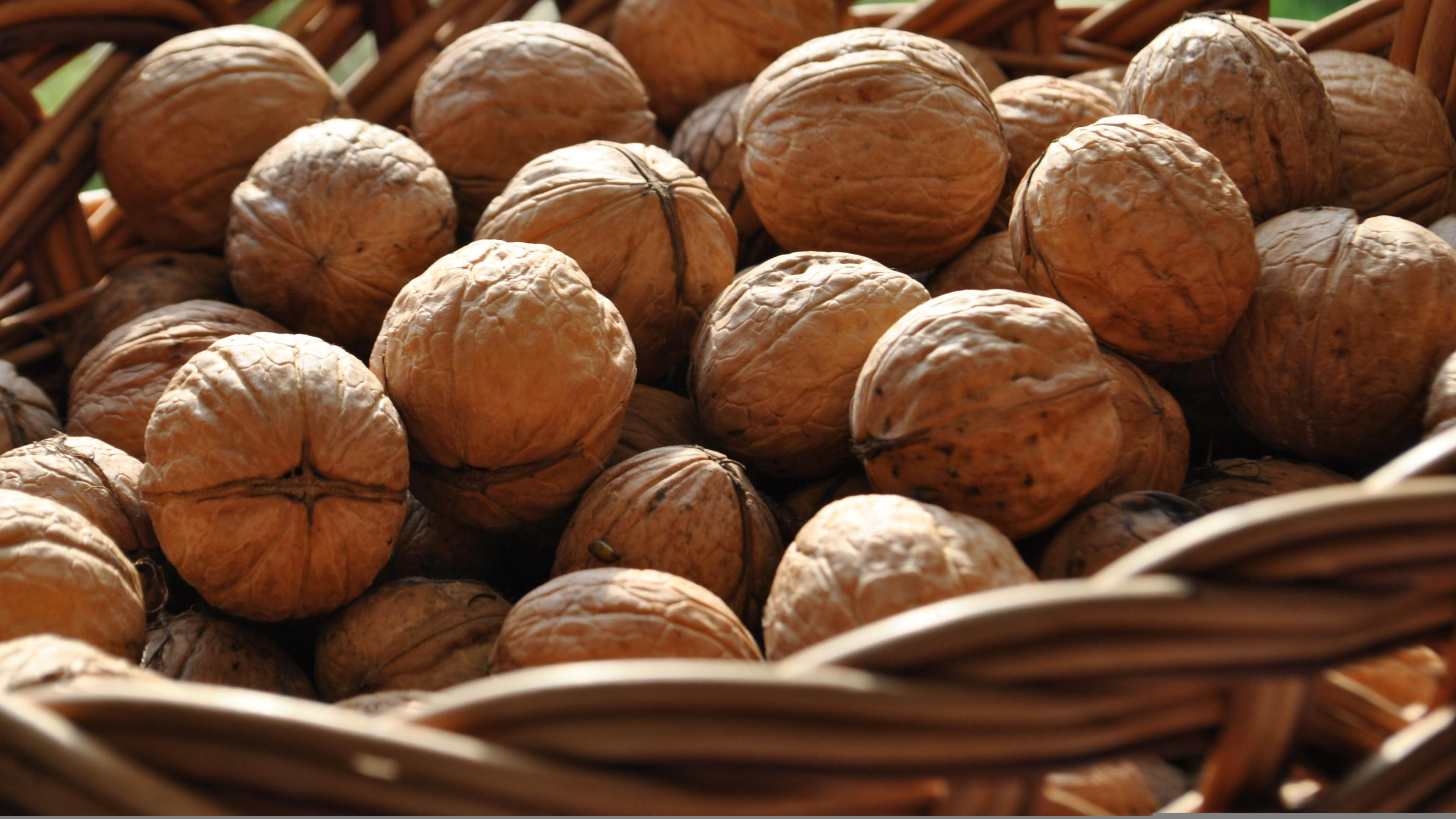 Walnuts (Food), Healthy snack, Nutritional powerhouse, Culinary ingredient, 3840x2160 4K Desktop