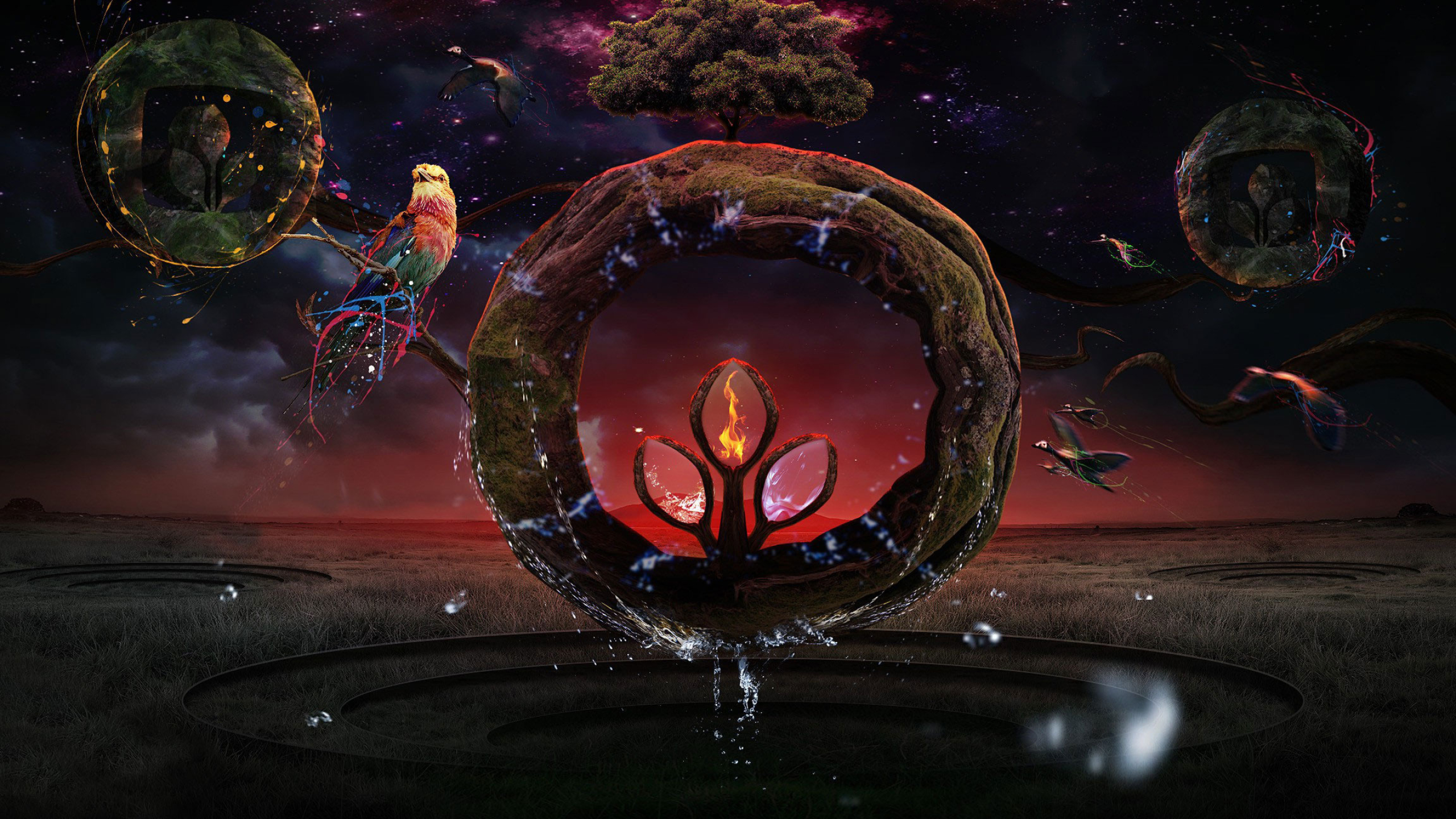 lilac-breasted roller bird, surreal elemental stone ring, floating elemental glass spheres, HD Desktop wallpaper