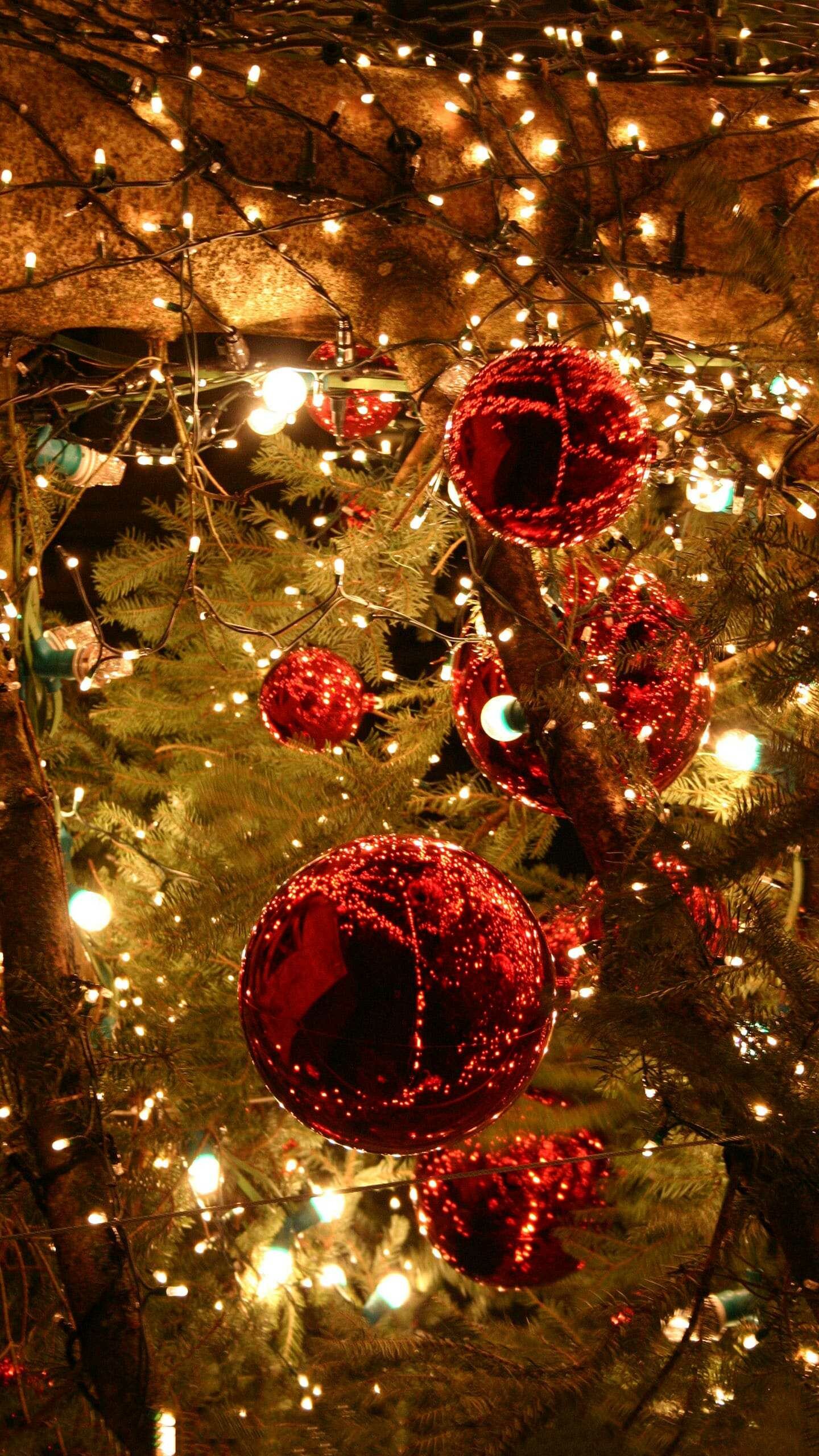 Captivating Christmas lights, Festive display, Vibrant colors, Holiday cheer, 1440x2560 HD Phone
