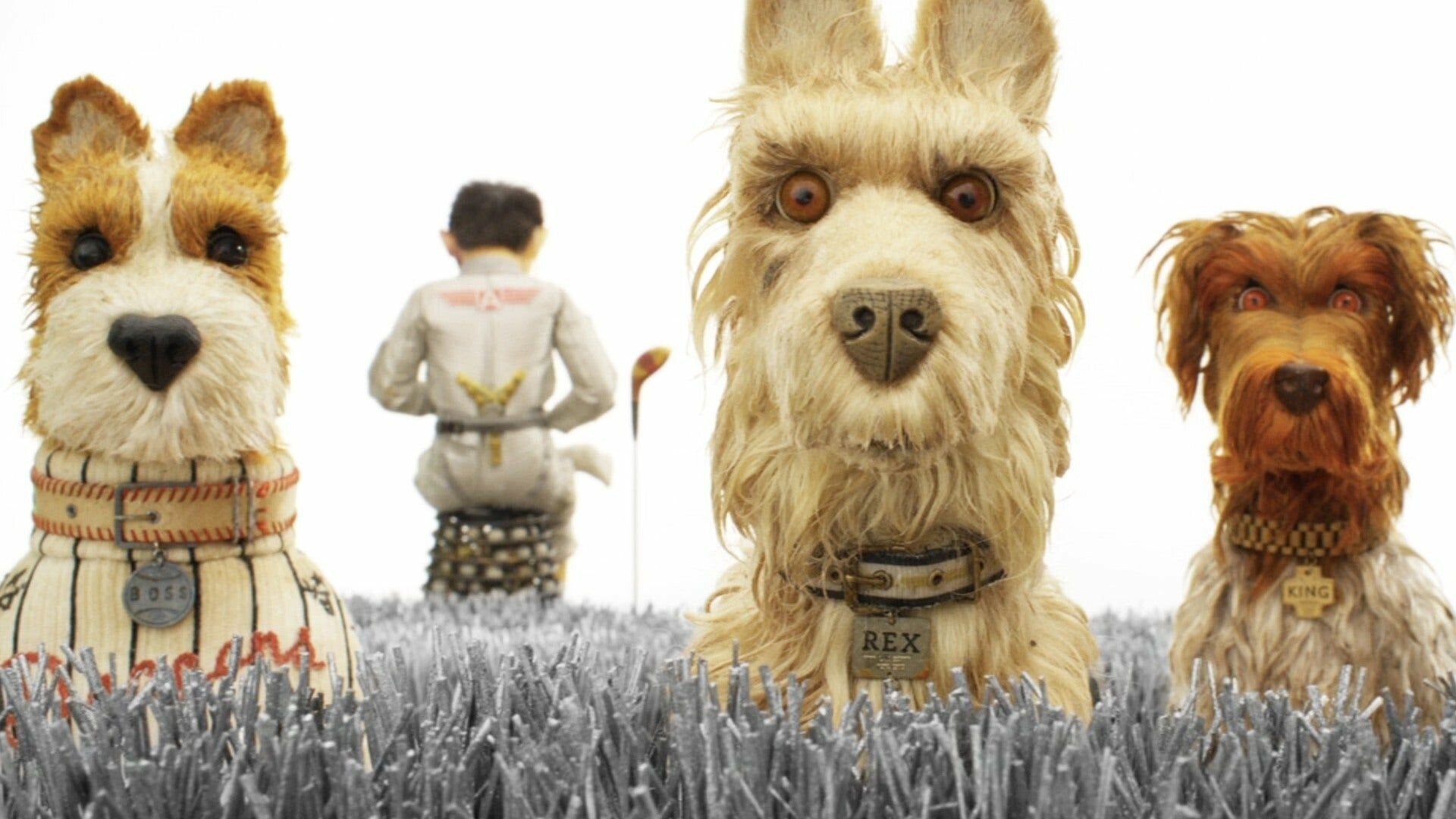 Rex, Isle of Dogs Wallpaper, 1920x1080 Full HD Desktop