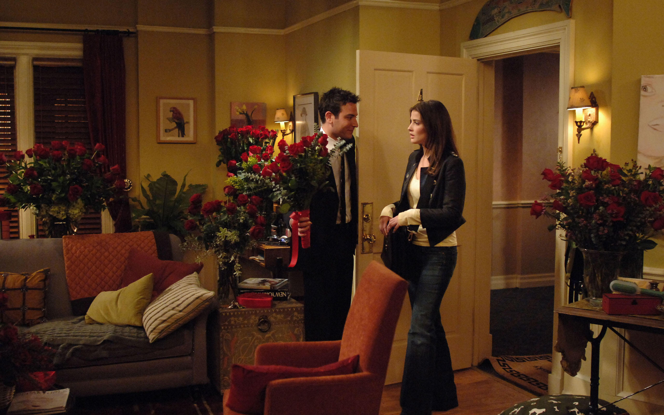 Ted and Robin, HIMYM Wallpaper, 2560x1600 HD Desktop