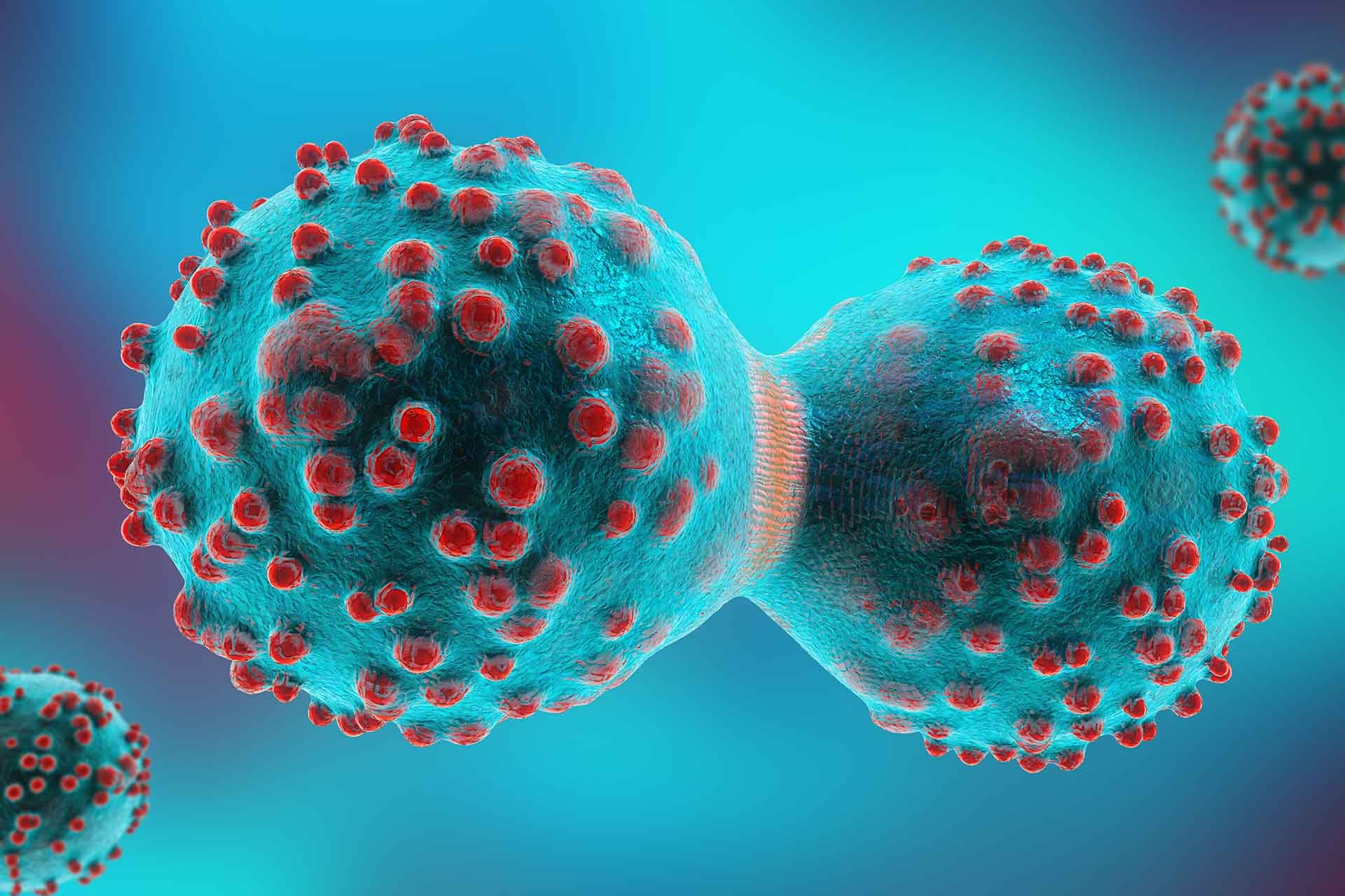 Mitosis, Biology Wallpaper, 1920x1280 HD Desktop
