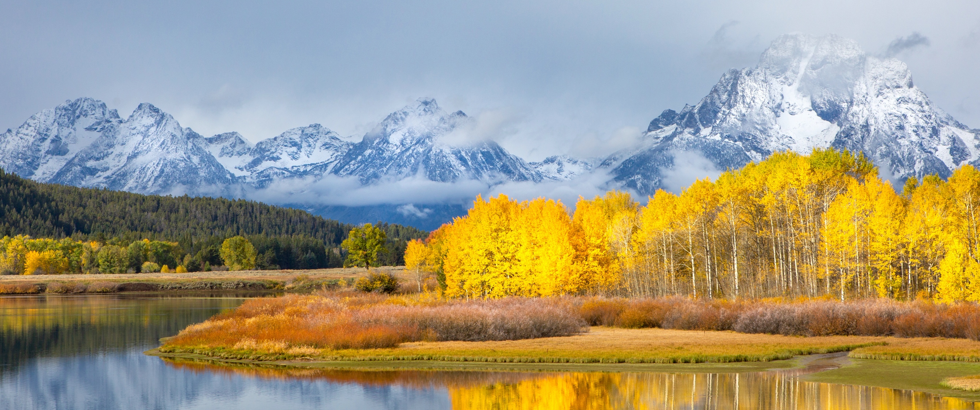 Grand Teton National Park, Aspen Tree Wallpaper, 3440x1440 Dual Screen Desktop