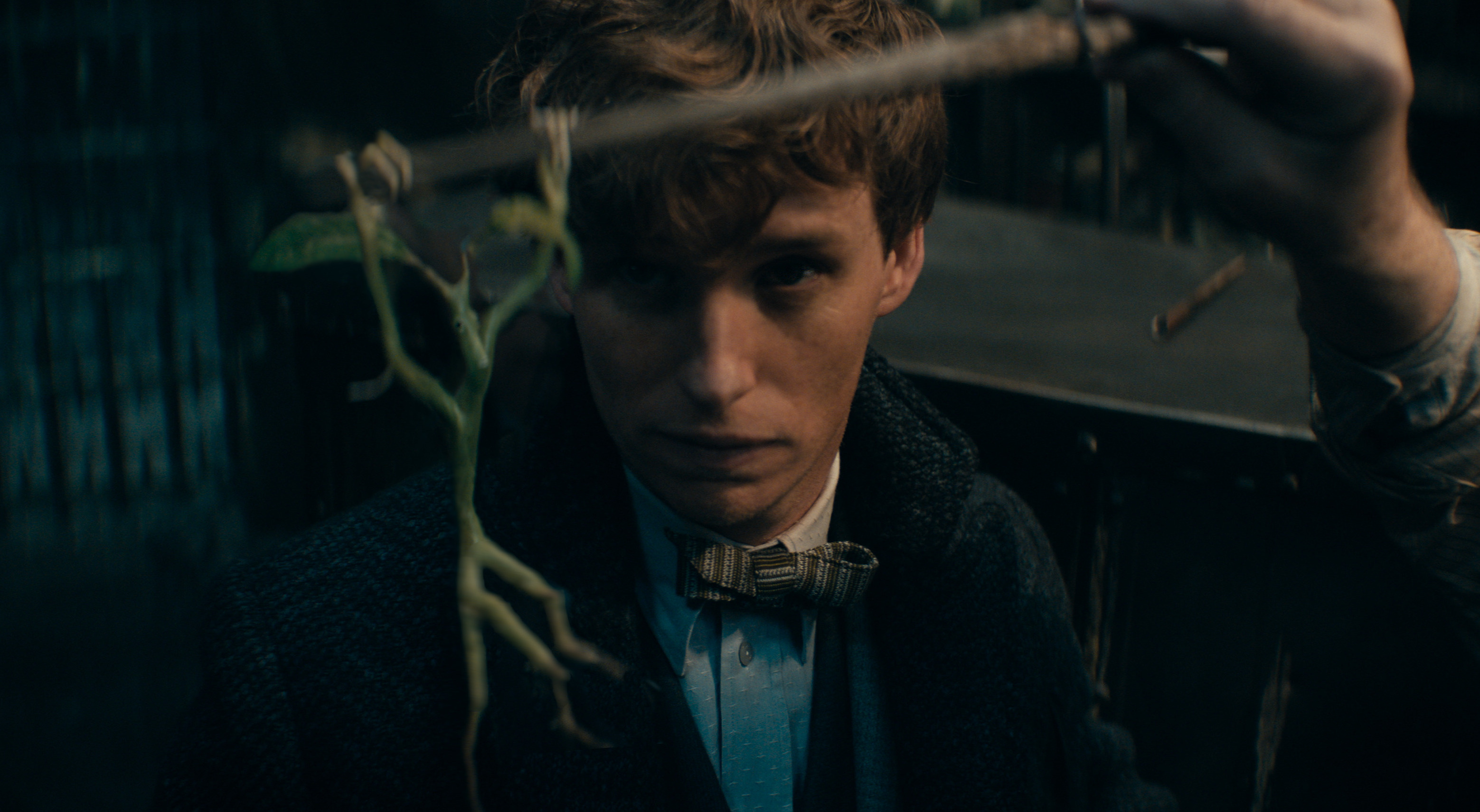 David Yates movies, Secrets of Dumbledore, Jude Law interview, Eddie Redmayne's insight, 3120x1720 HD Desktop