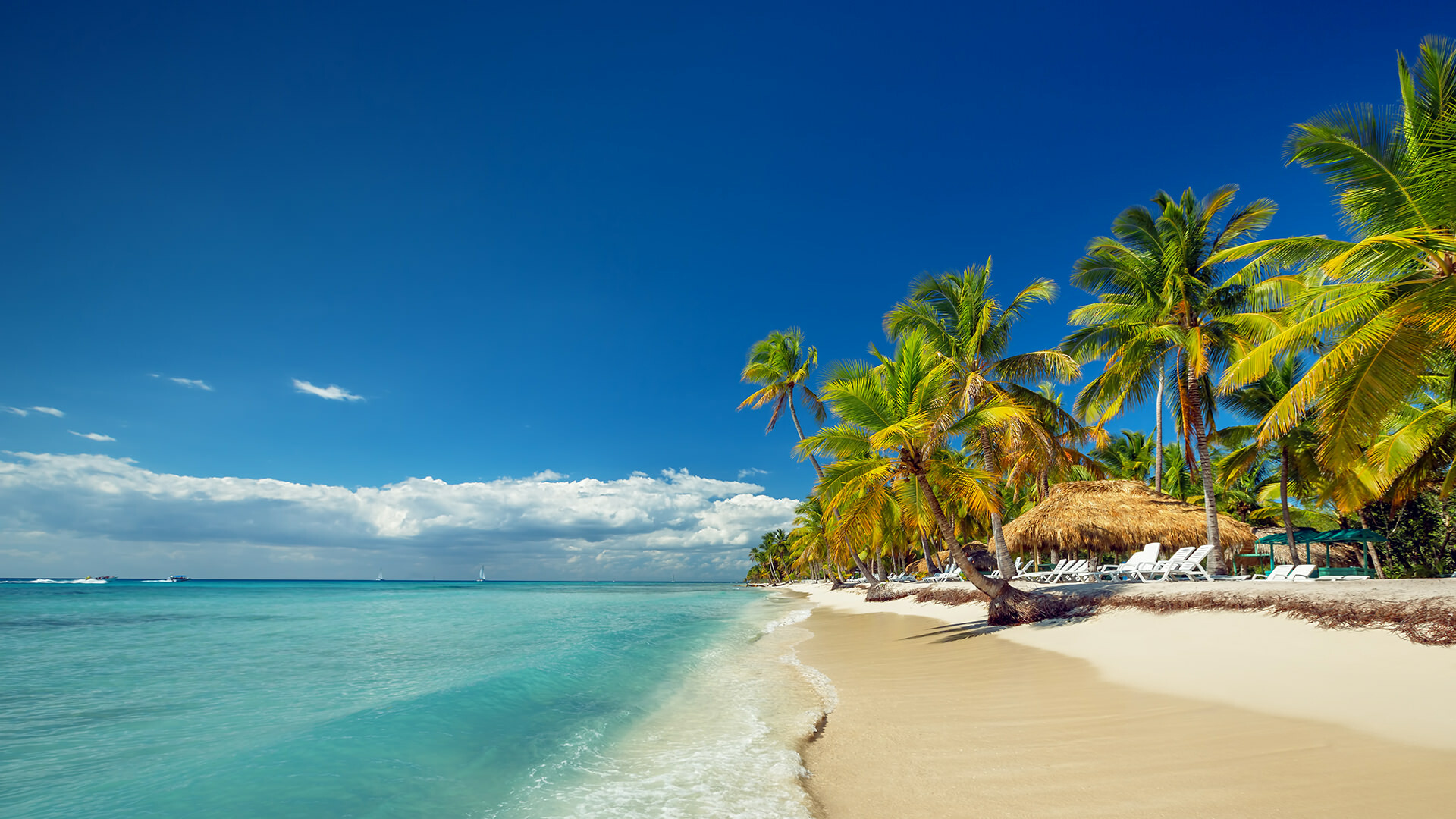 Scuba diving in Dominican Republic, PADI certified, 1920x1080 Full HD Desktop