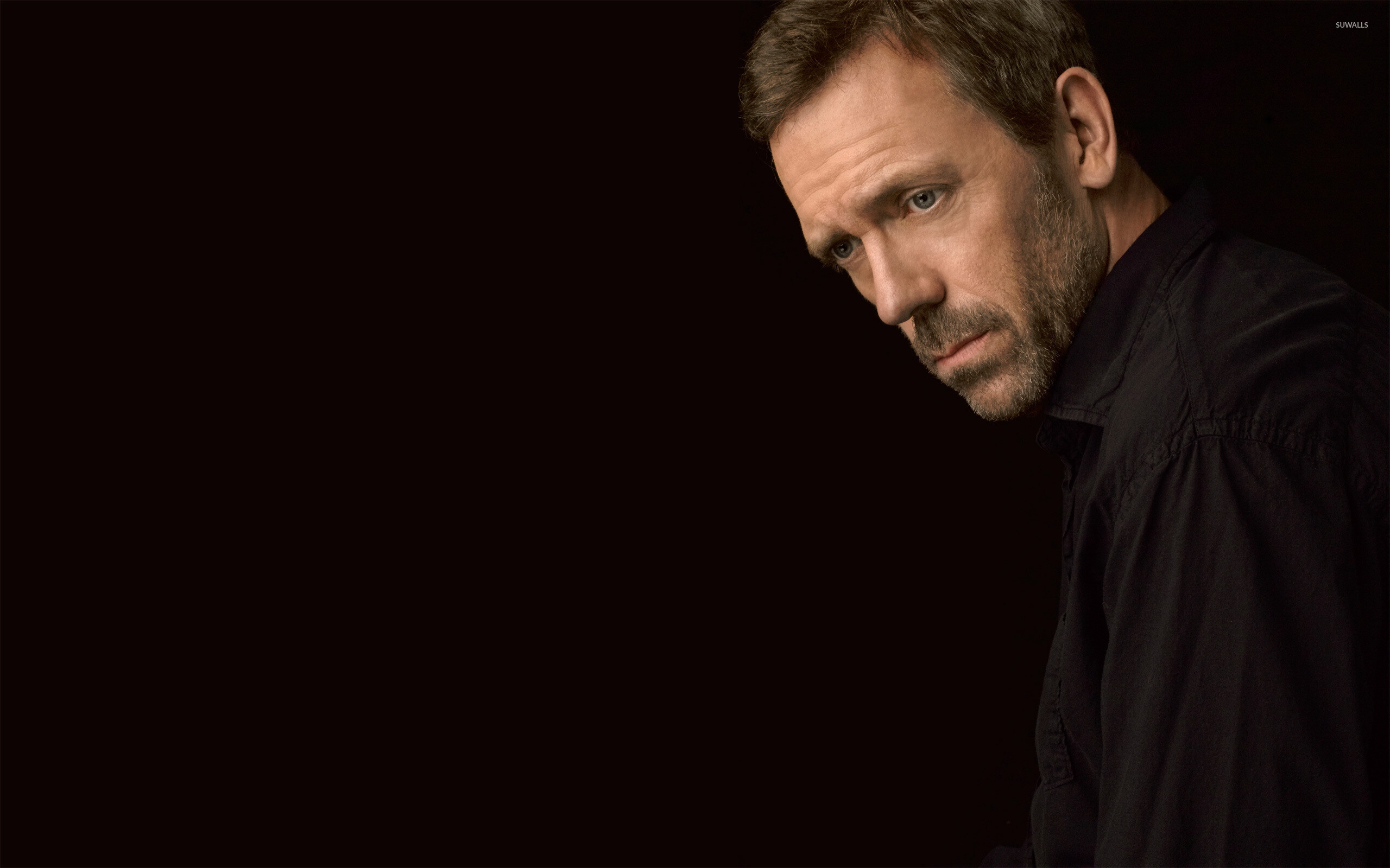 Hugh Laurie, House M.D. Wallpaper, 2560x1600 HD Desktop