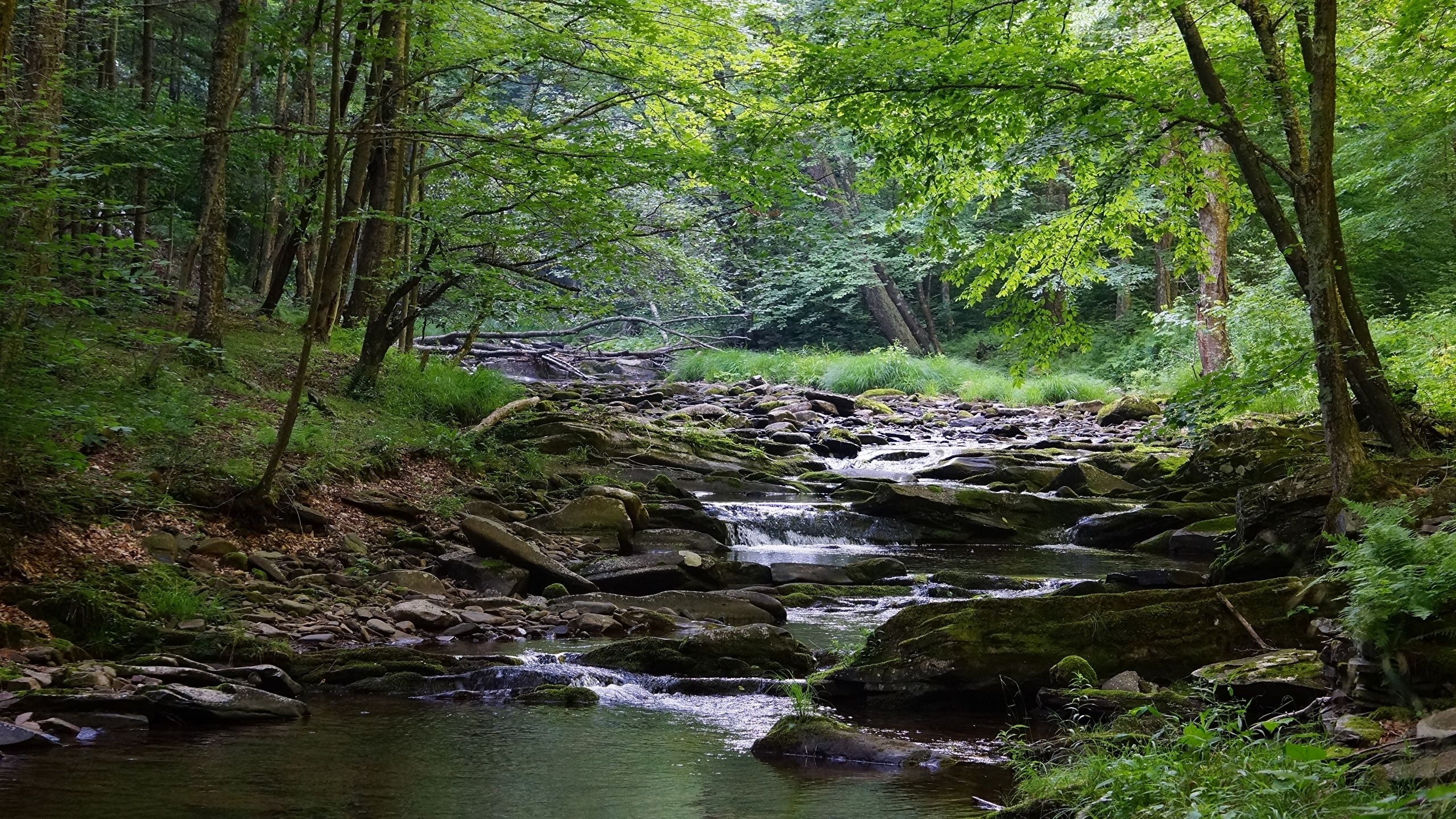 Rivers, Streams, Wallpaper, Water, 2560x1440 HD Desktop