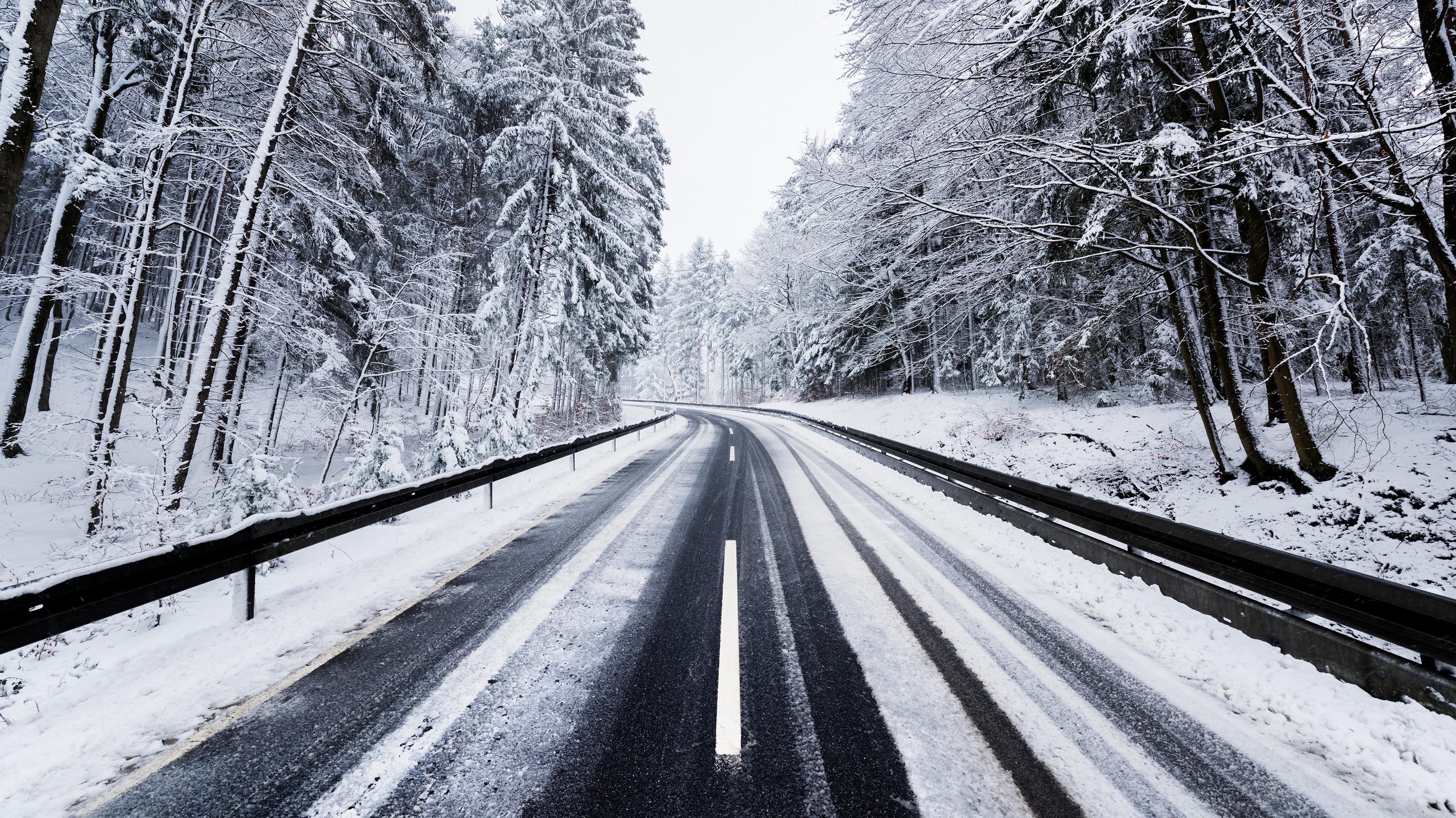 curving snowy forest road, snow-covered pine trees, metal highway guardrails, 4K Desktop wallpaper