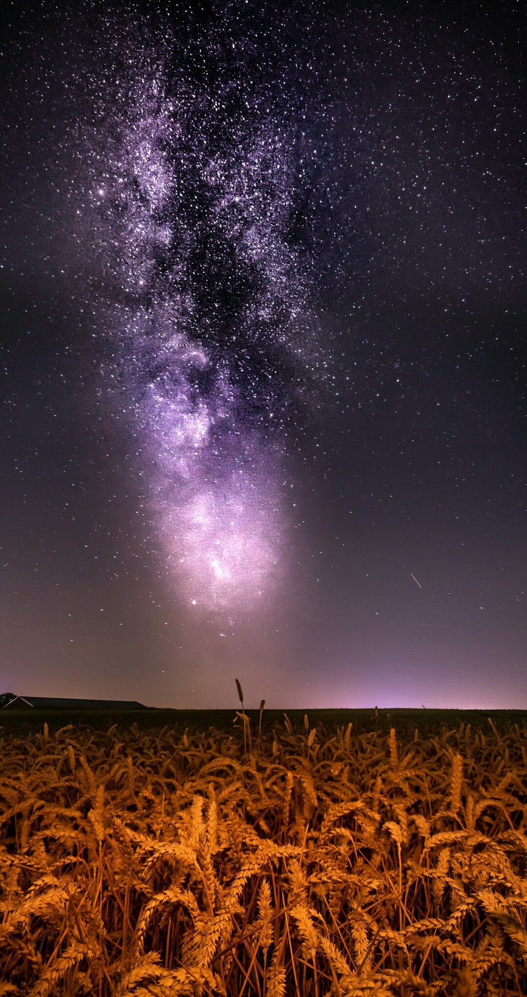 Wheat field, Milky Way Wallpaper, 1080x2040 HD Phone