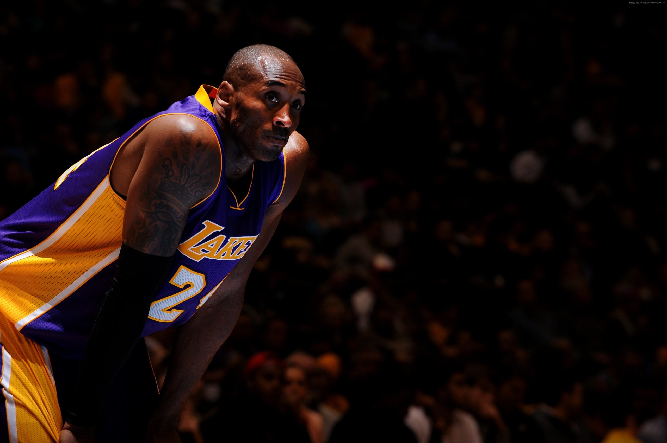 Los Angeles Lakers, Kobe Bryant, Shooting guard, Best basketball players, 2560x1710 HD Desktop