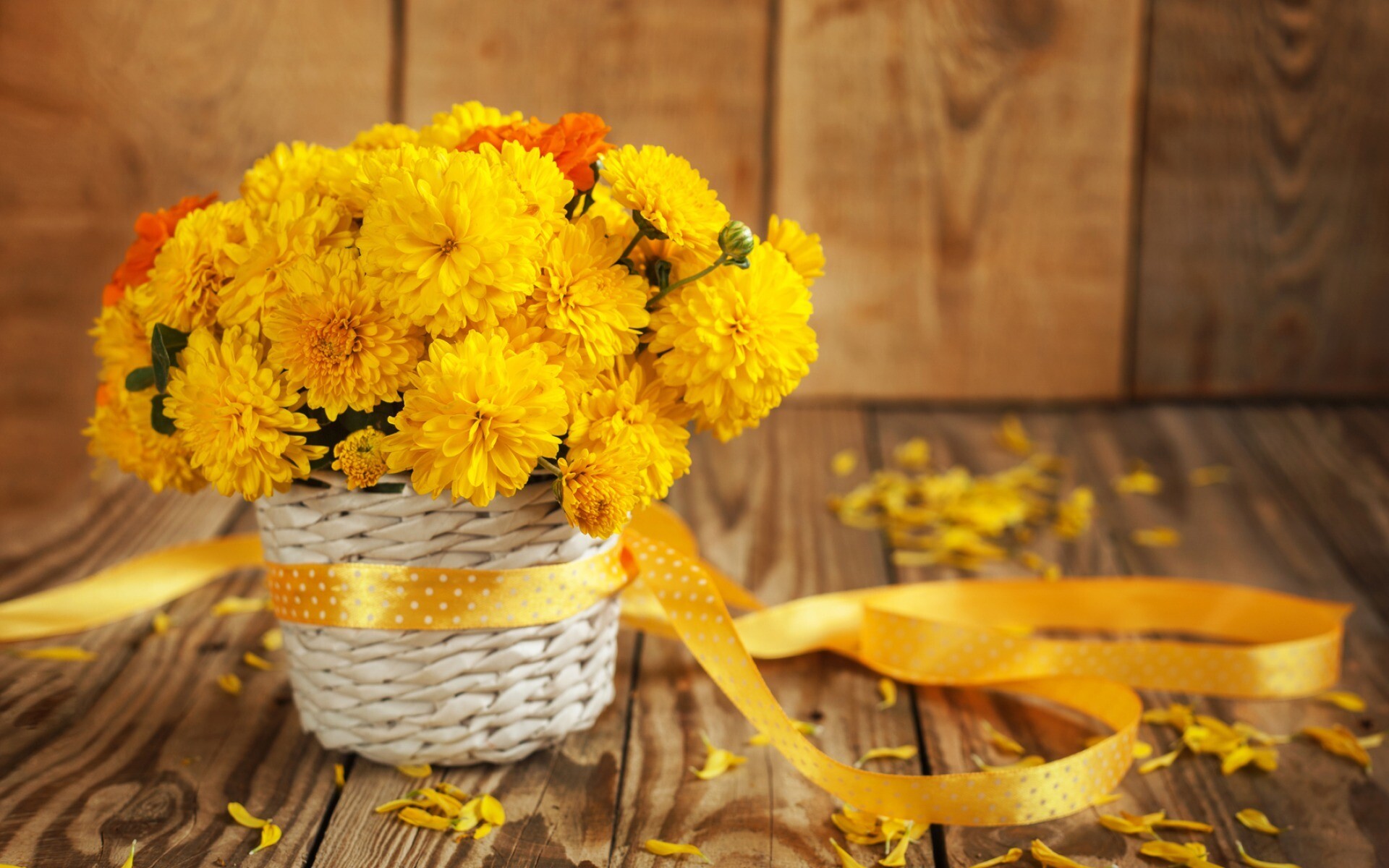 Bouquet, Chrysanthemums Wallpaper, 1920x1200 HD Desktop