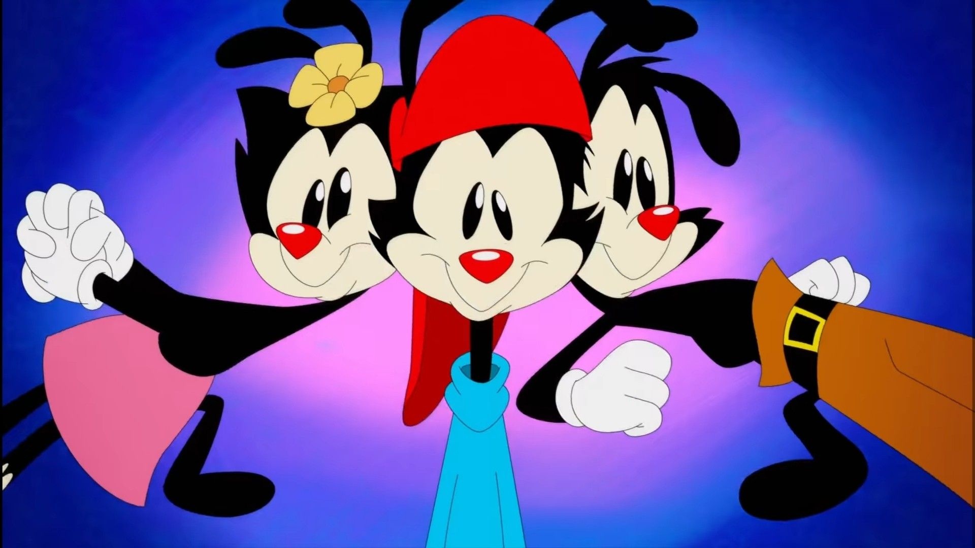 Animaniacs, Cartoon wallpaper, Wakko character, 1920x1080 Full HD Desktop