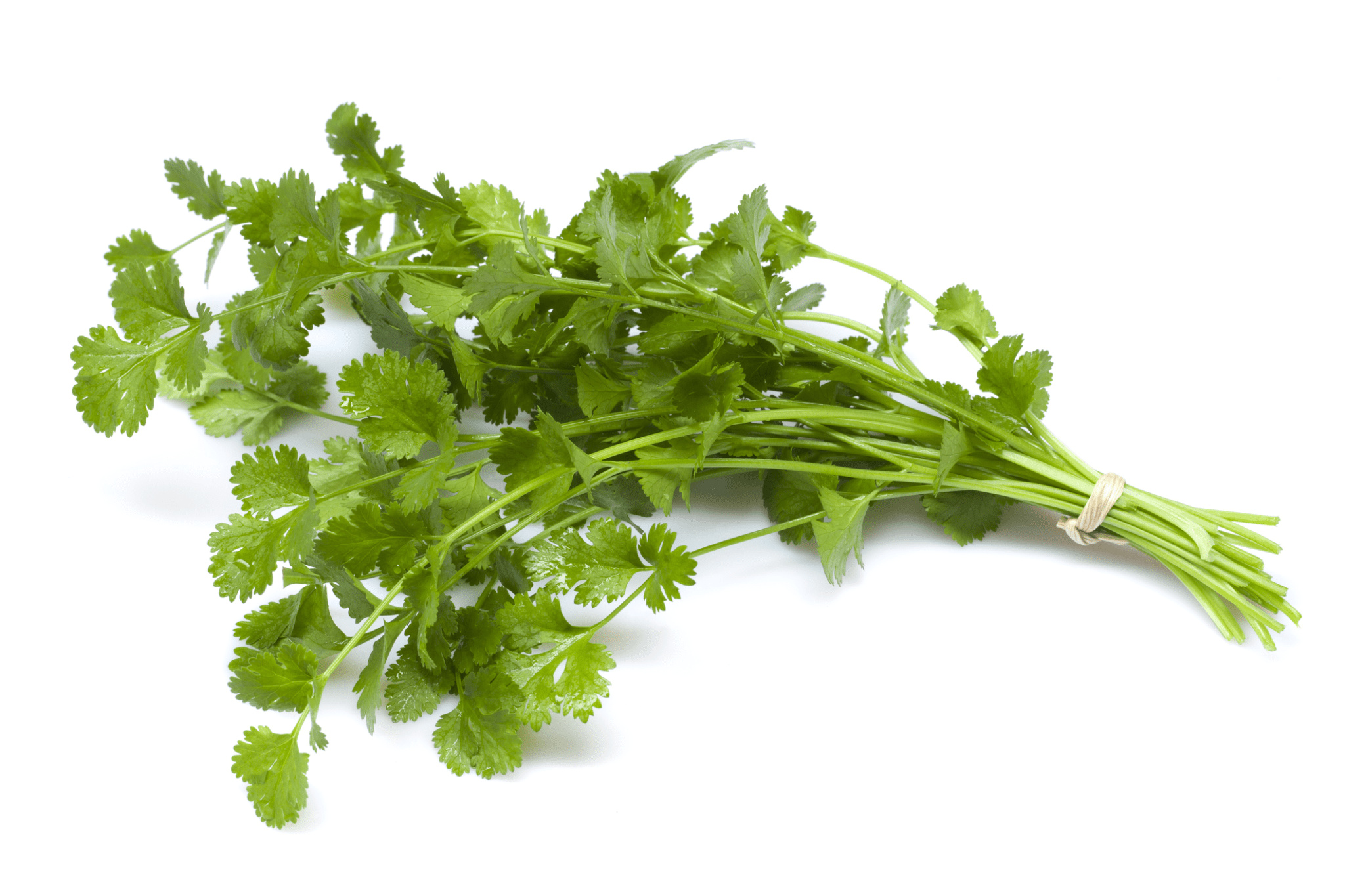 Naturopathic kitchen, Cilantro 101, Health benefits, AANMC, 2050x1370 HD Desktop