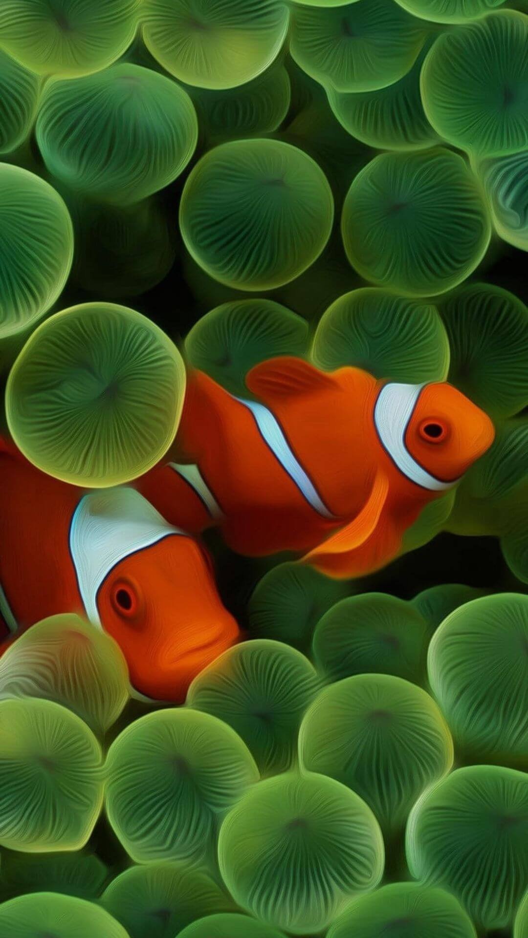 Clownfishes, For iPhone Wallpaper, 1080x1920 Full HD Phone