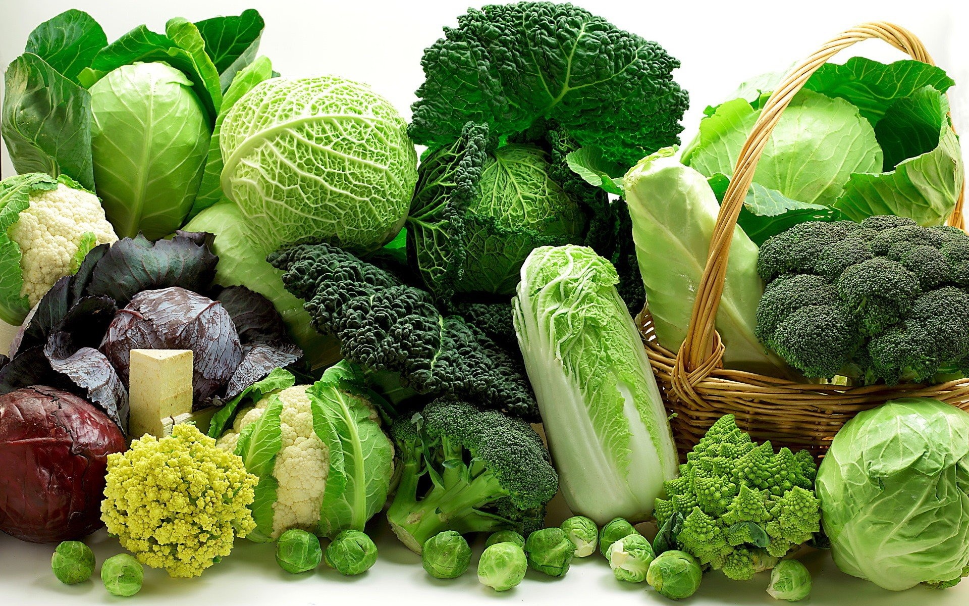 Cabbage family, Vegetables Wallpaper, 1920x1200 HD Desktop