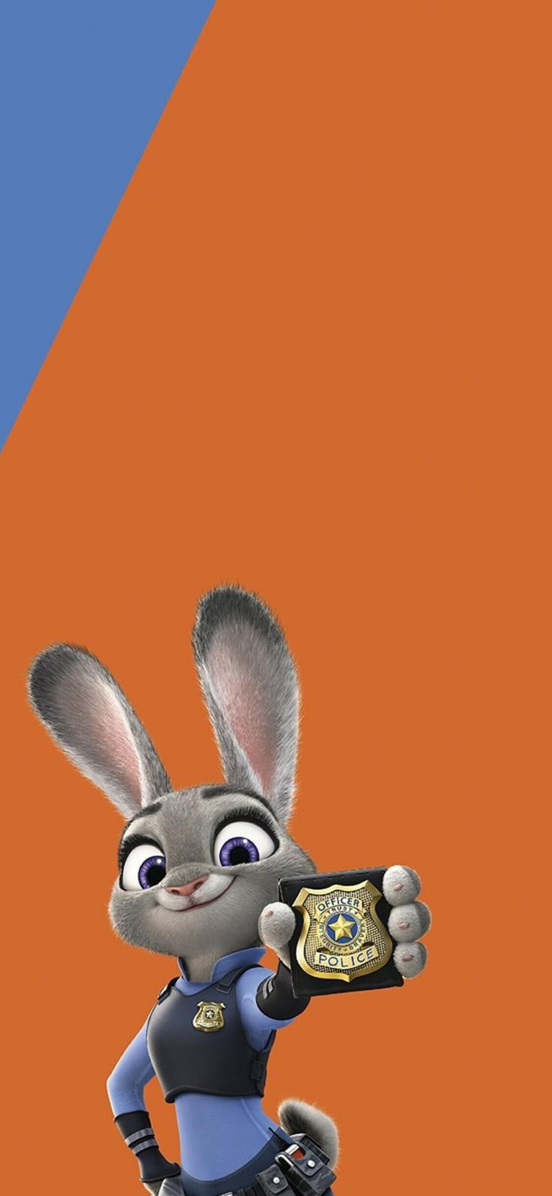 Judy Hopps and Nick wallpaper, iPhone backgrounds, Dynamic duo, 1130x2440 HD Phone