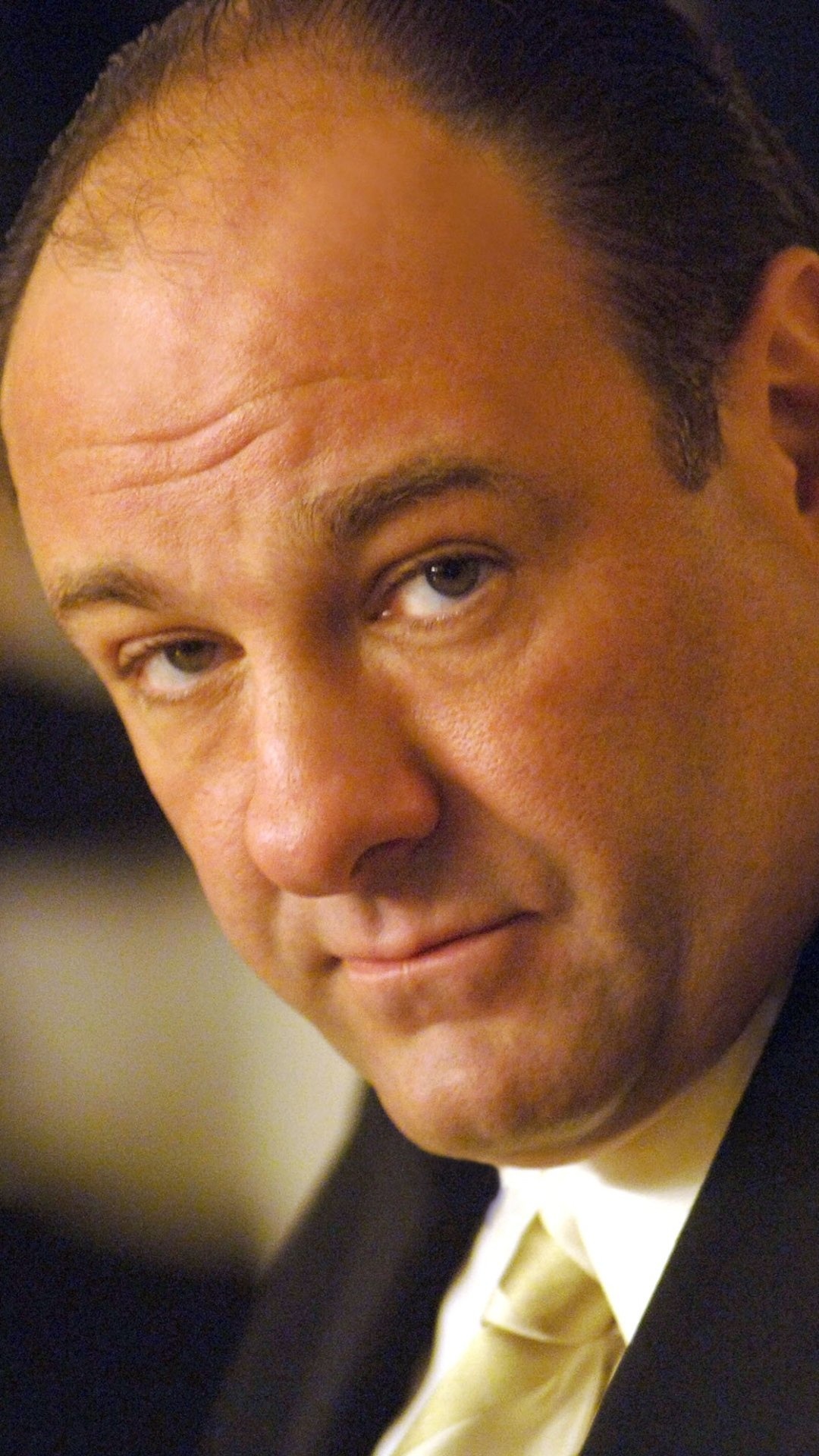 James Gandolfini, Celebrity, Legacy, Sopranos, 1080x1920 Full HD Phone