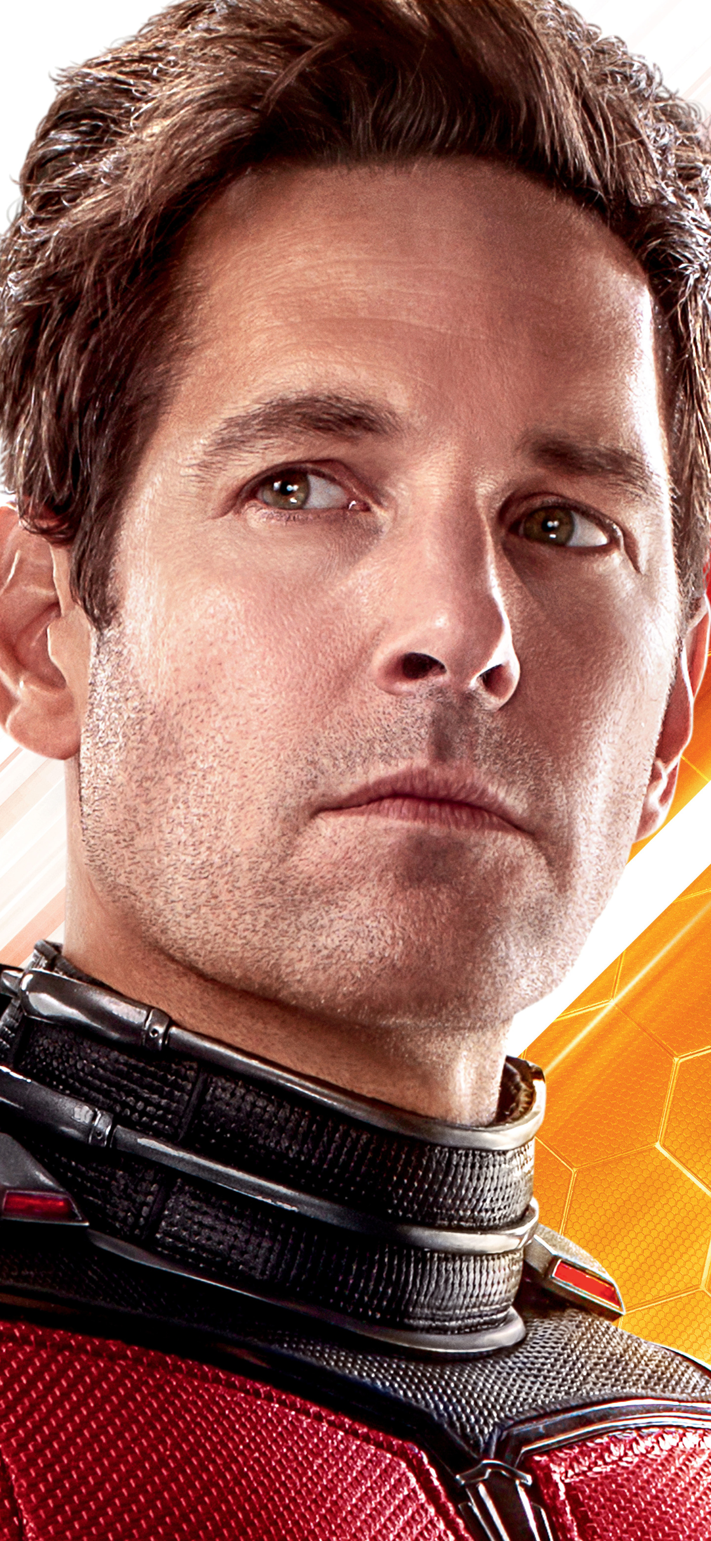 Movie Ant-Man and the Wasp, Exciting adventure, Marvel universe, 1440x3120 HD Phone