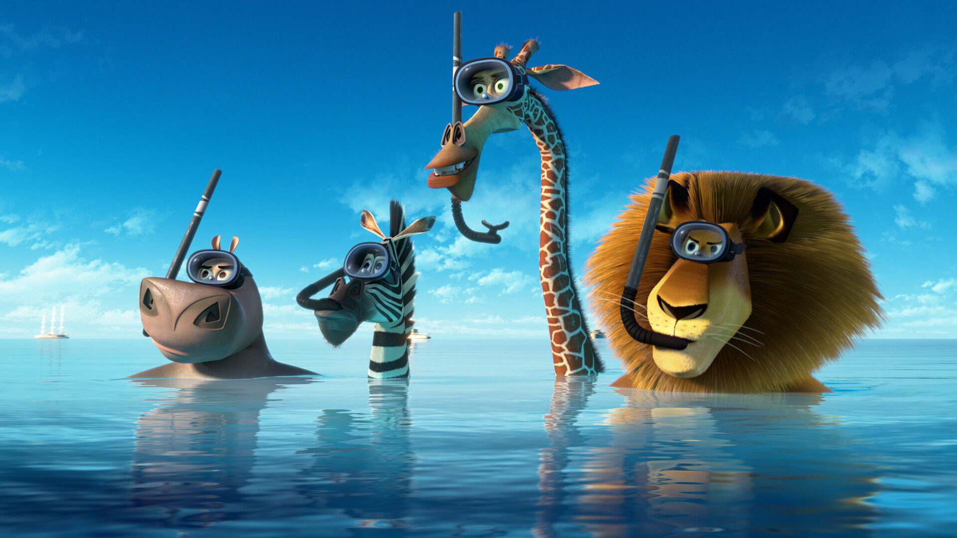 Madagascar Movie Wallpapers 39 Images WallpaperCat