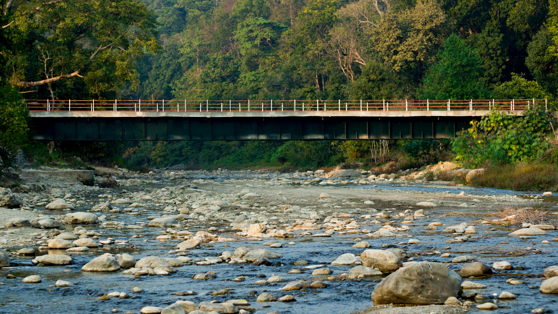 Jim Corbett National Park, Mountain river, Nainital, India, 1920x1080 Full HD Desktop