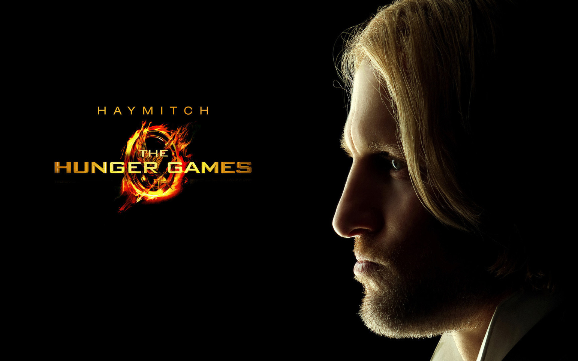 Haymitch Abernathy, Hunger Games, Movie wallpapers, Mentor, 1920x1200 HD Desktop