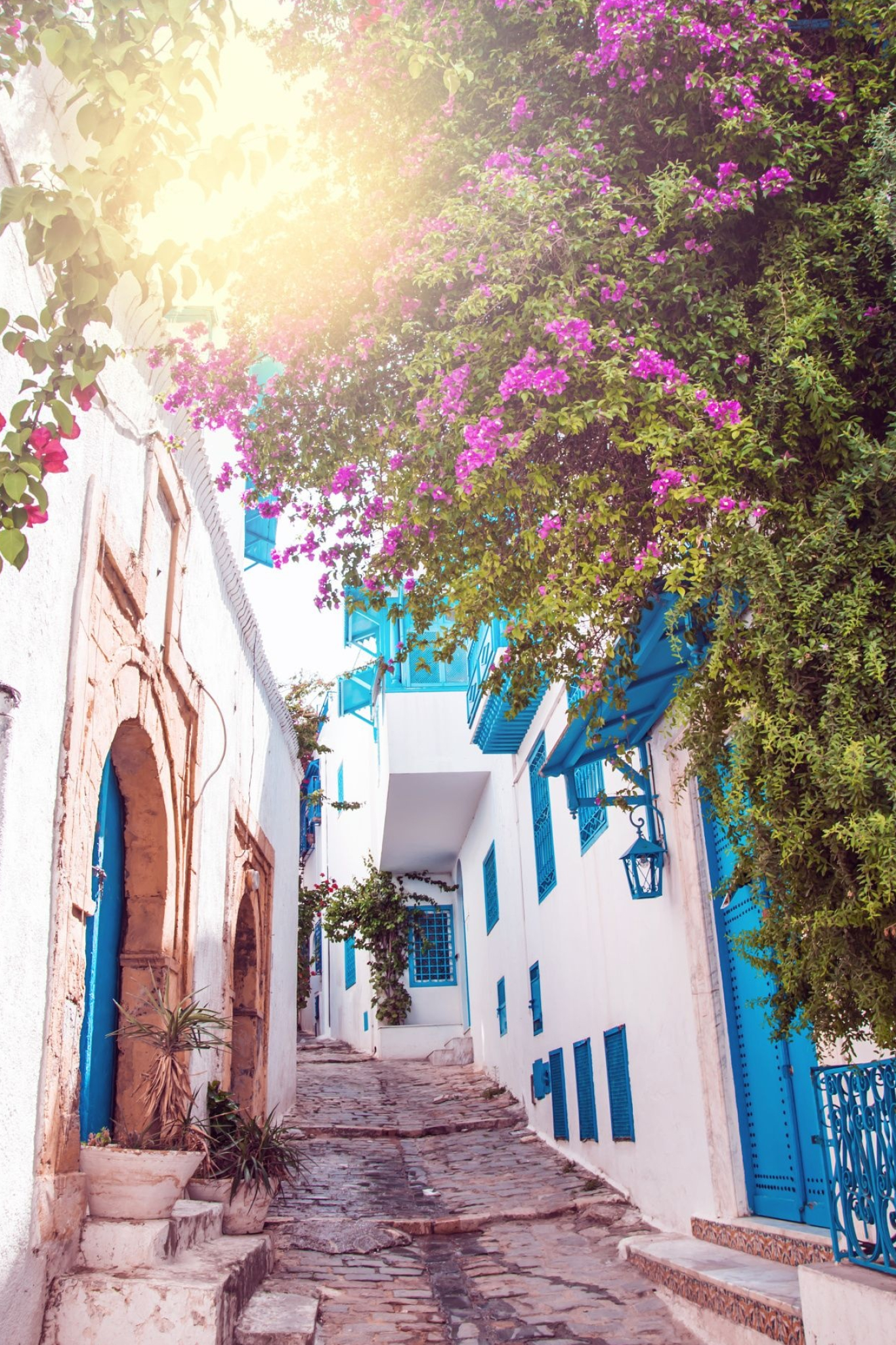 Tunisia, Travel ideas, Tunisian charm, Sidi Bou Said beauty, 1370x2050 HD Phone