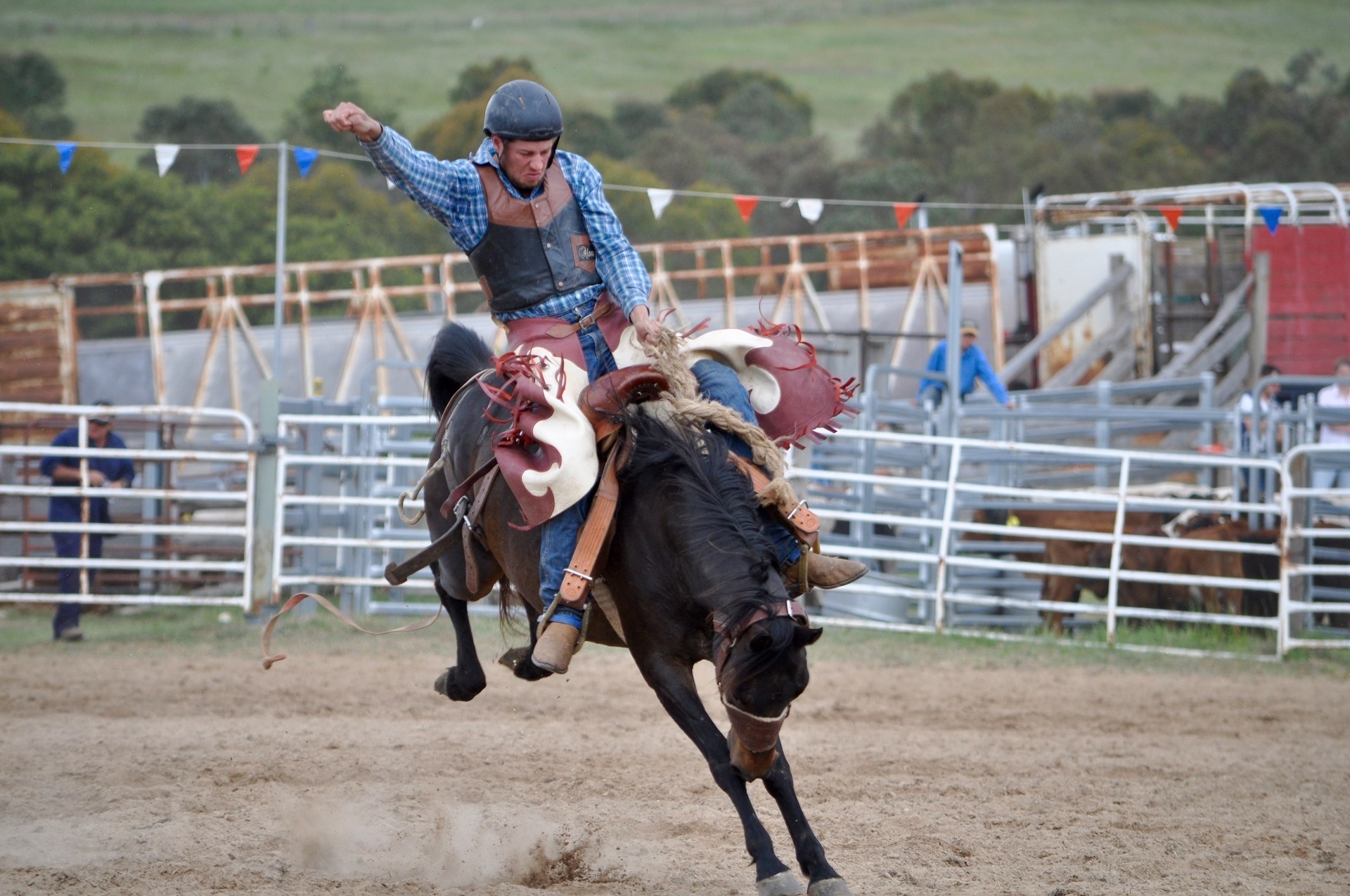 Rodeo, HD wallpapers, Backgrounds, 1920x1280 HD Desktop