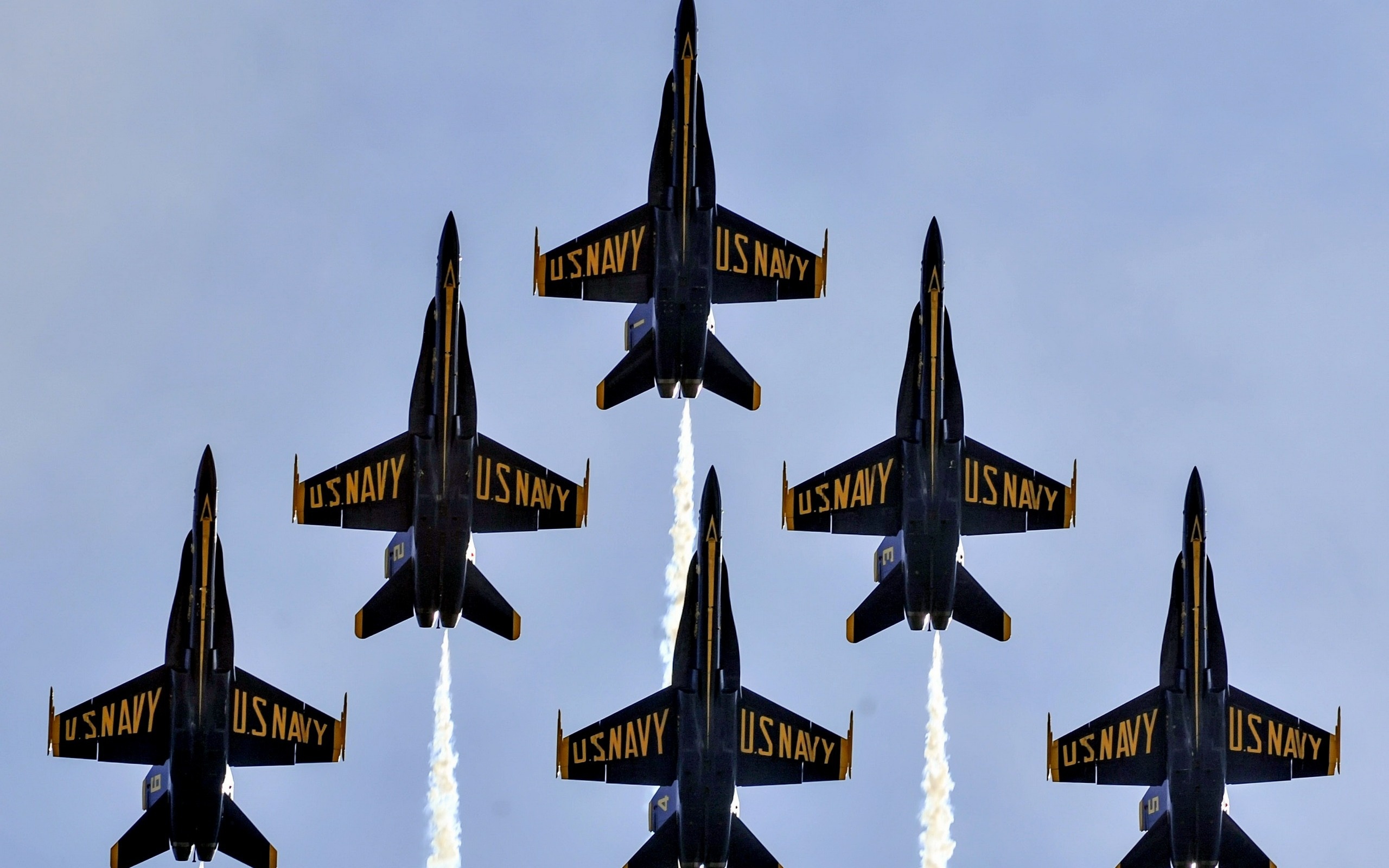 Aerobatics, Blue Angels, Aviation group, McDonnell Douglas FA-18 Hornet, 2560x1600 HD Desktop