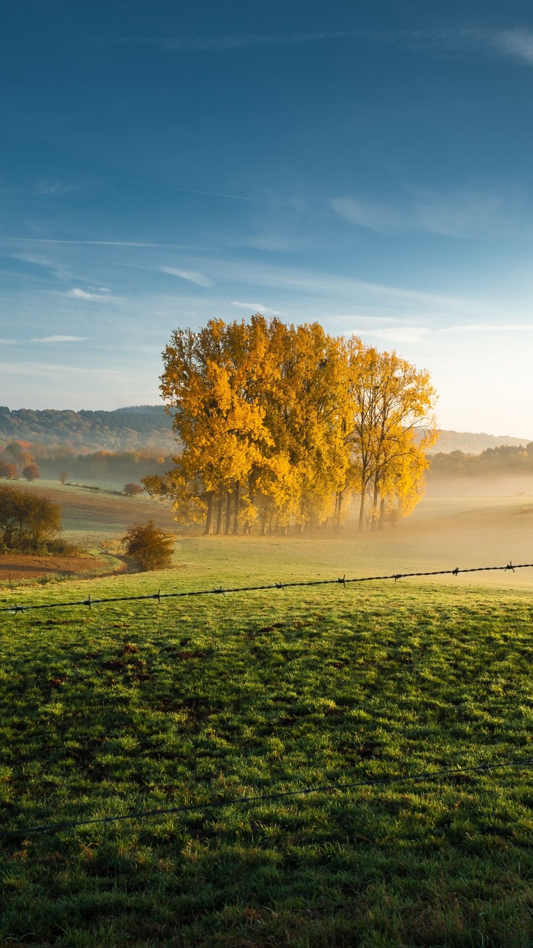 Tree landscape farm, Foggy wallpaper, Samsung Galaxy screens, Serene beauty, 1080x1920 Full HD Phone