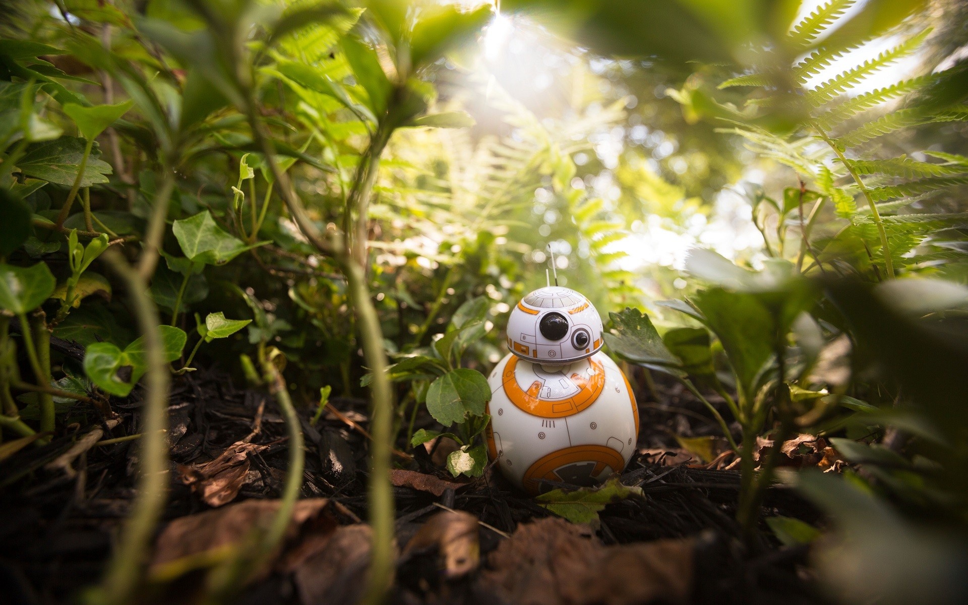 BB-8, BB8 Star Wars, Movies, 1920x1200 HD Desktop