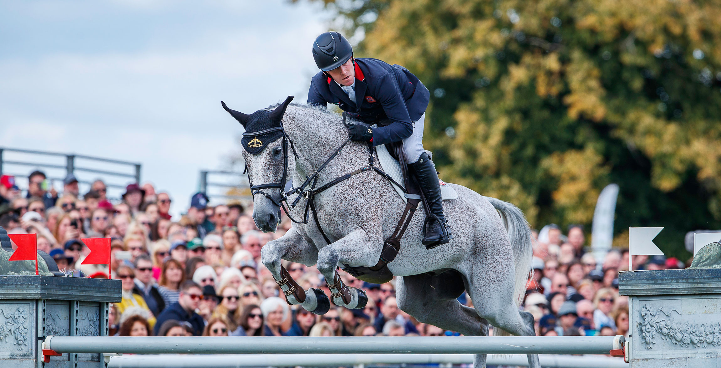 Equestrian sports, Ballaghmor class, Horse of the month, Eventing, 2300x1180 HD Desktop