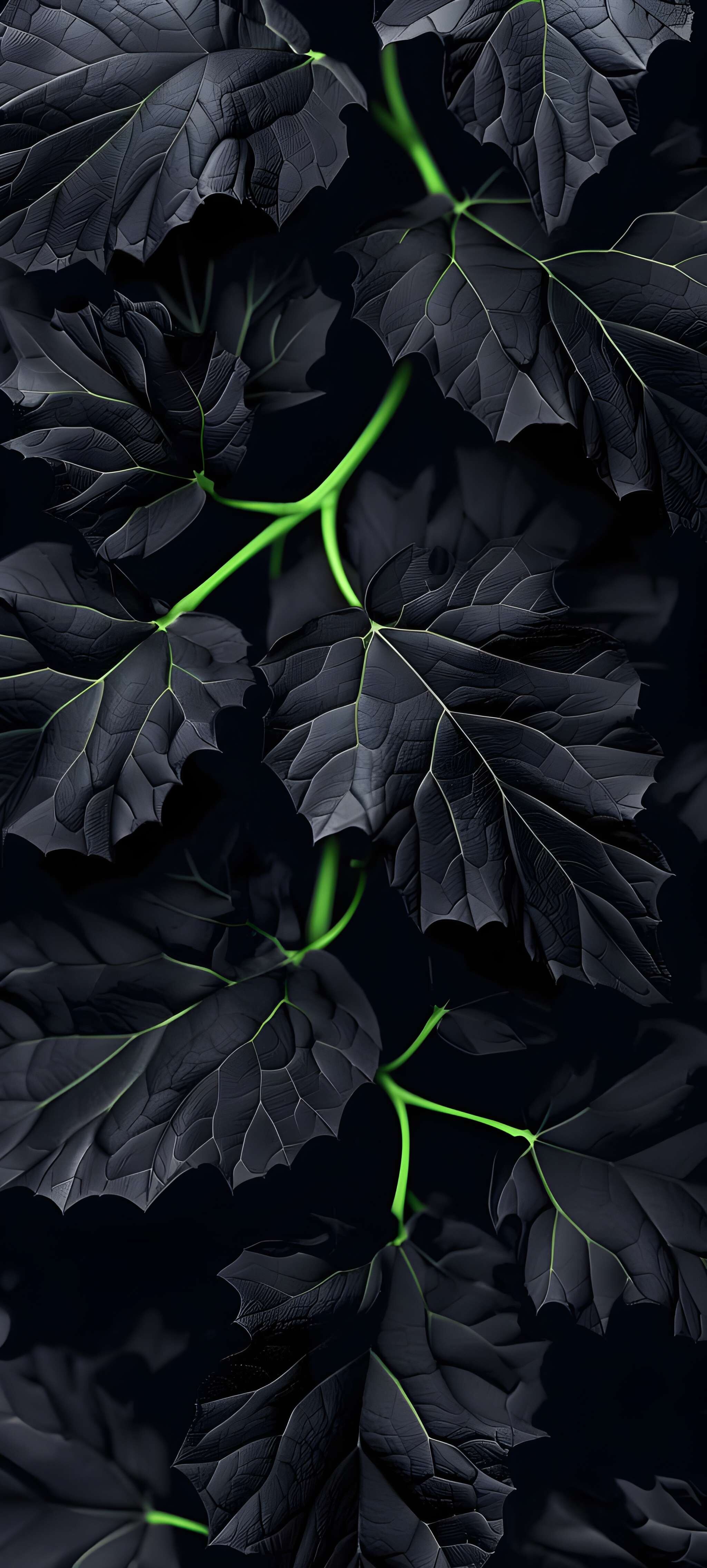 2050x4550 Phone Wallpaper