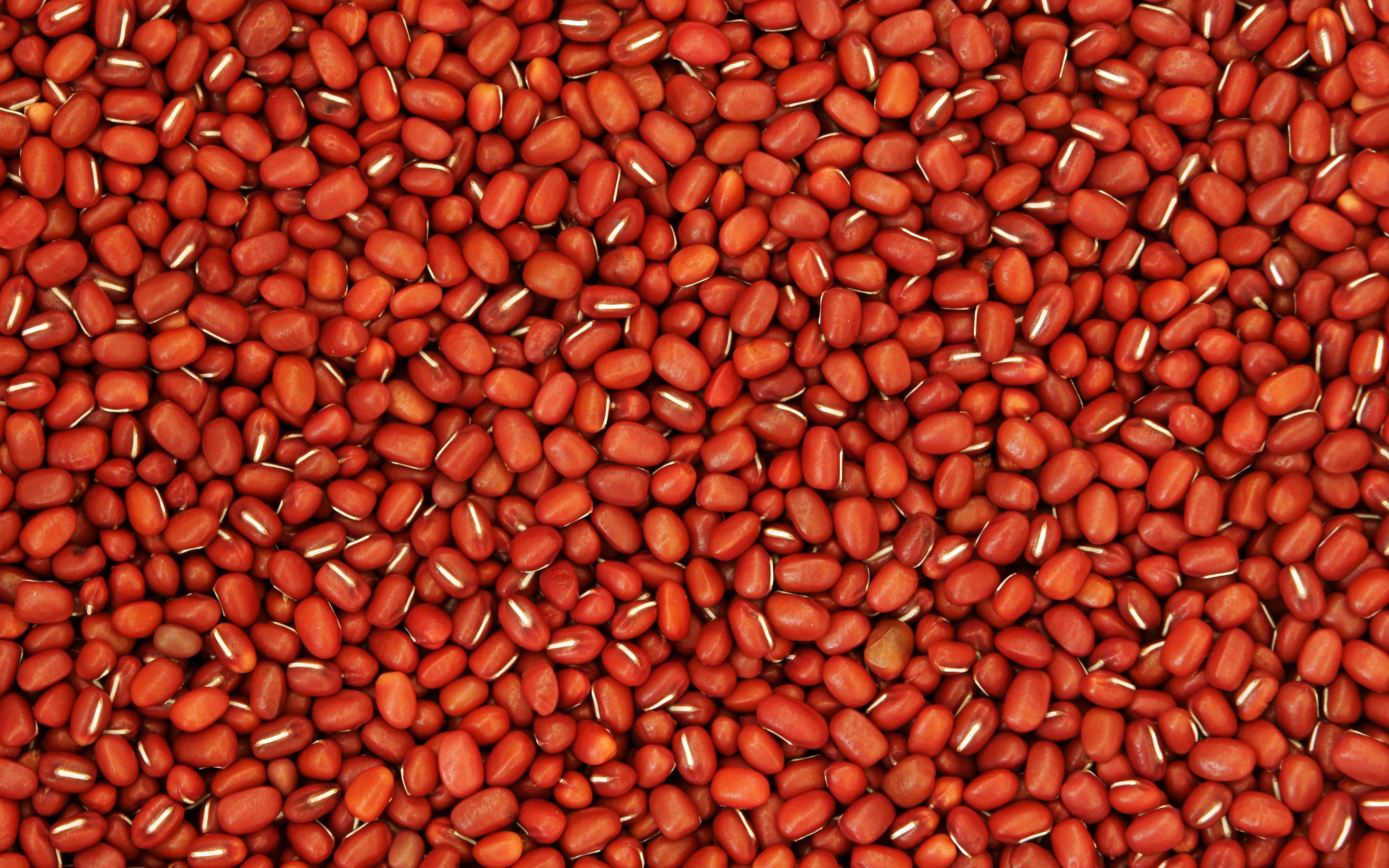 Red bean, Grains Wallpaper, 2880x1800 HD Desktop